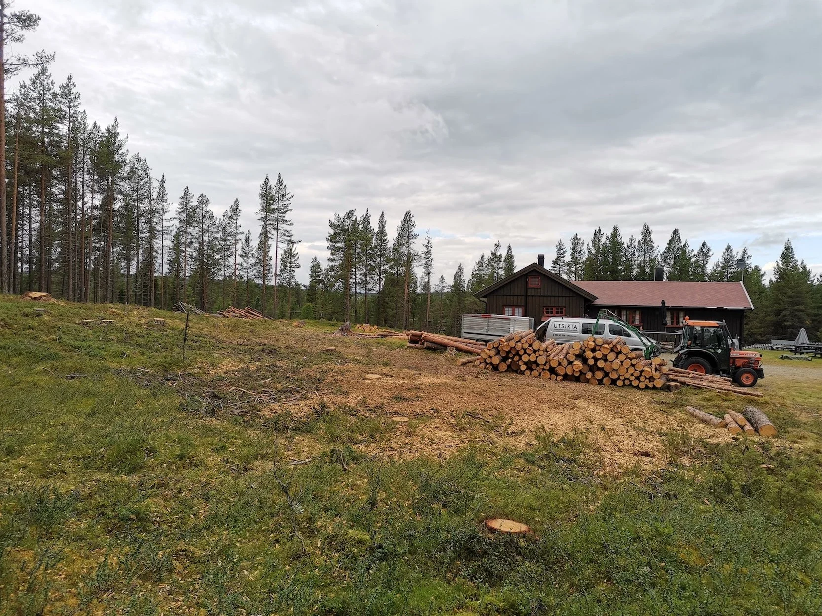 Utsikta AS trefelling i Tisleidalen