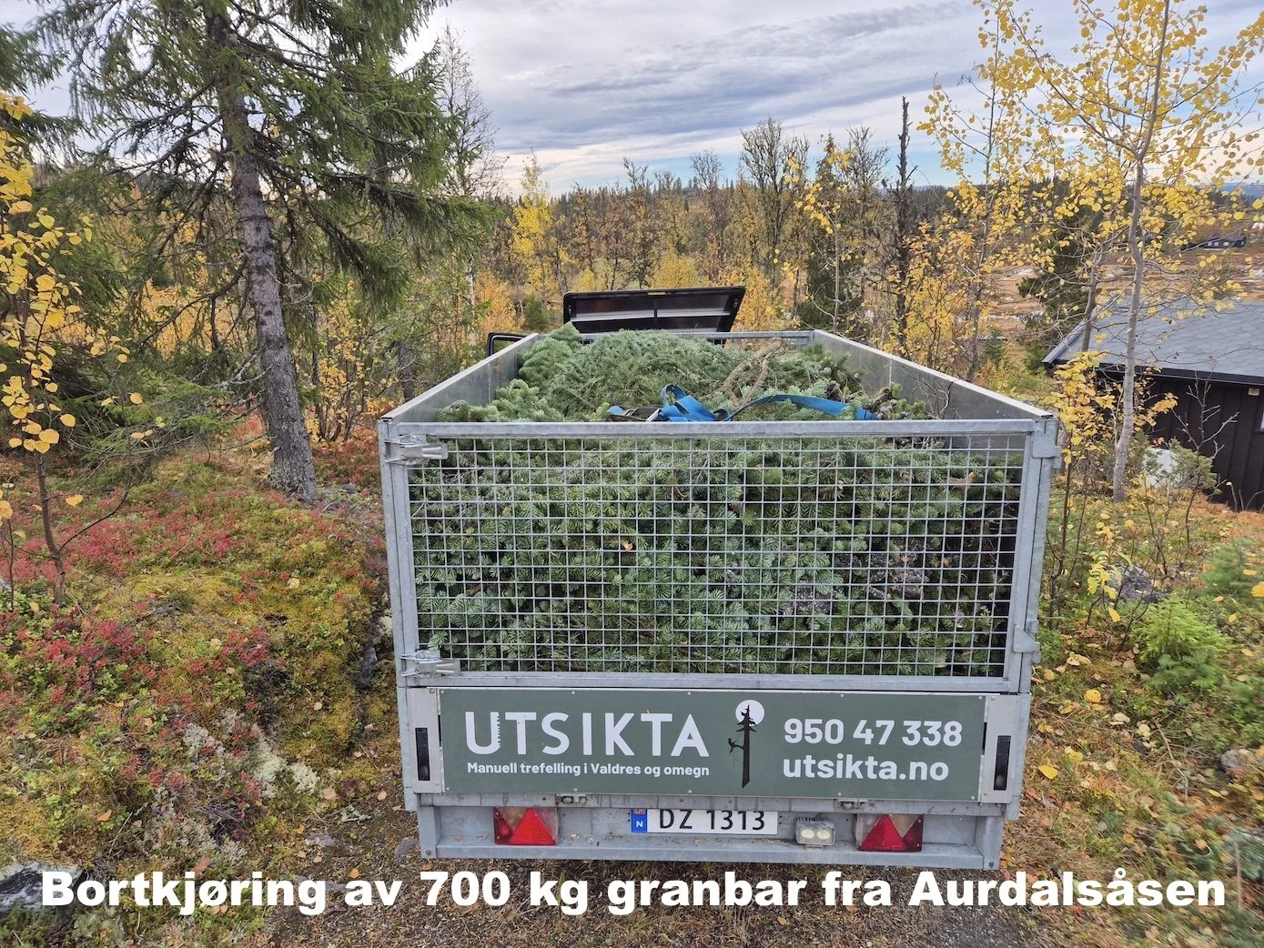 Bortkjøring av granbar etter trefelling på Aurdalsåsen i Nord-Aurdal, Utsikta Trefelling AS
