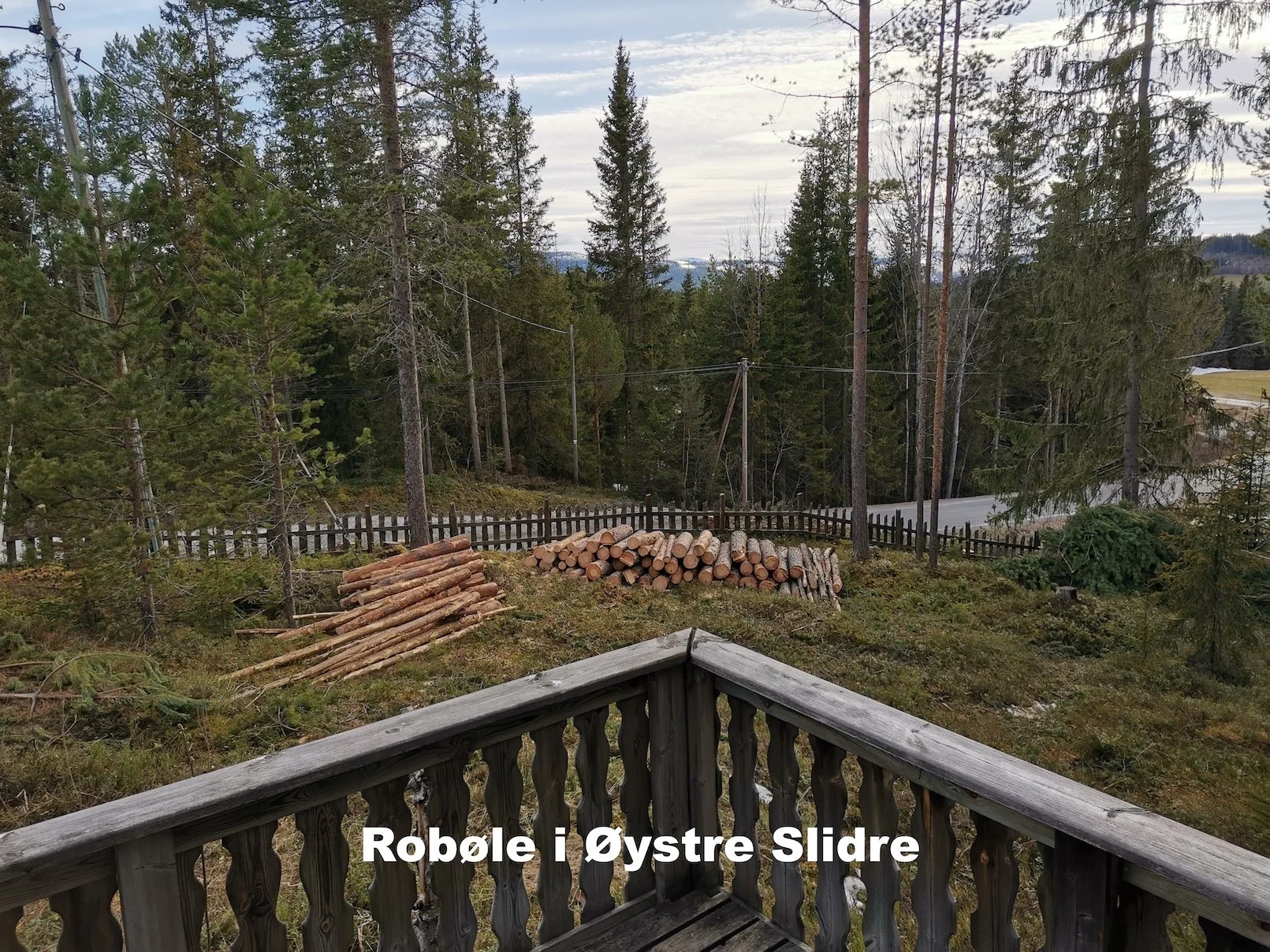 Trefelling på hyttetomt Robøle i Øystre Slidre utført av Utsikta Trefelling AS.