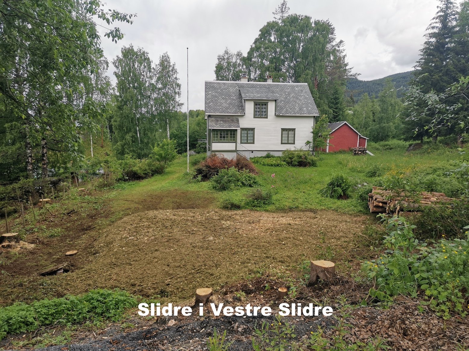 Trefelling og flishugging i Vestre Slidre-Utsikta Trefelling AS