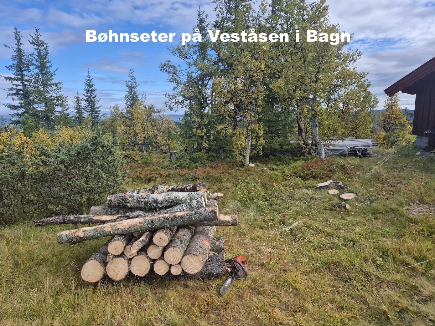 Utsikta Trefelling AS utfører trefelling på hyttetomt på Bøhnseter på Veståsen i Bagn