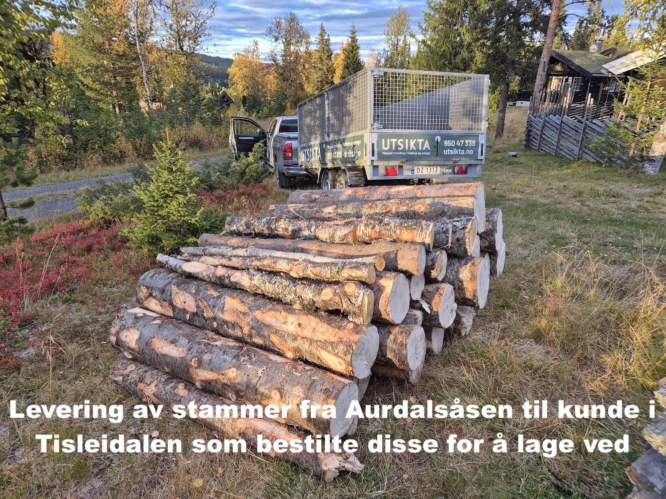 Utsikta Trefelling AS leverer stokker til ved til kunde i Tisleidalen