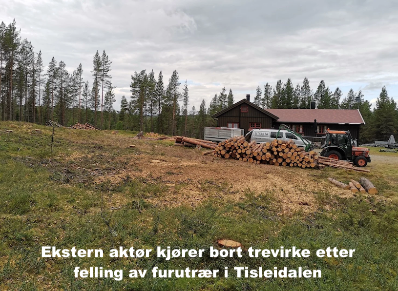Utsikta Trefelling AS avtalte med ekstern aktør til å ta seg av bortkjøringen av trevirket i forbindelse med et større trefellingsprosjekt i Tisleidalen i Nord-Aurdal.