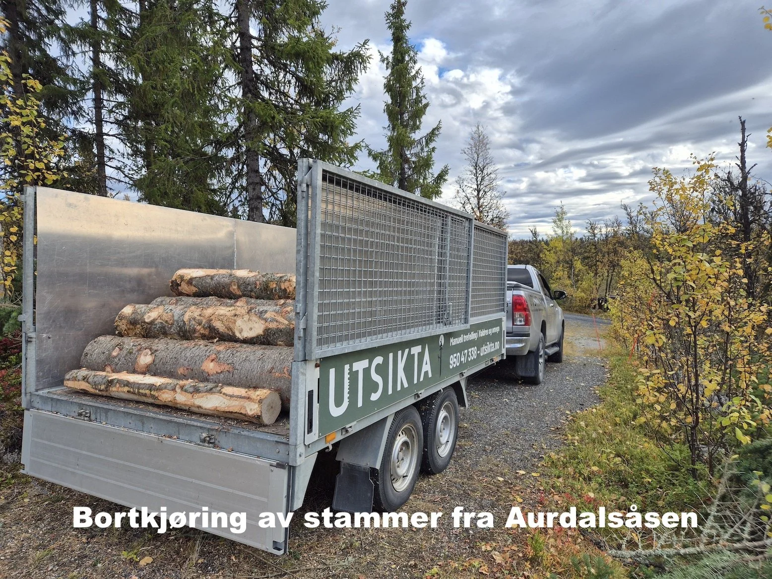Bortkjøring av stammer etter trefelling på Aurdalsåsen i Nord-Aurdal, Utsikta Trefelling AS