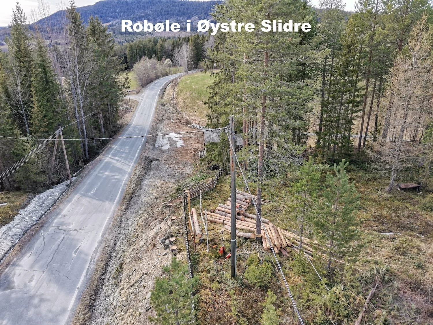 Trefelling og seksjonsfelling på hyttetomt på Robøle i Øystre Slidre-Utsikta Trefelling AS
