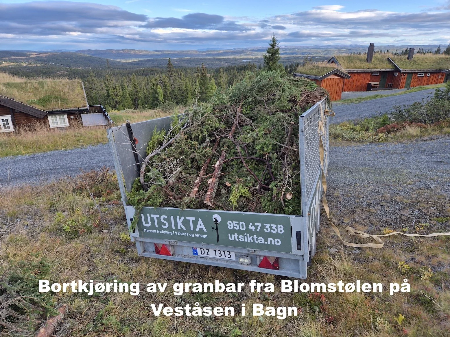 Utsikta Trefelling AS kjører bort granbar etter trefelling på Blomstølen på Veståsen i Bagn.