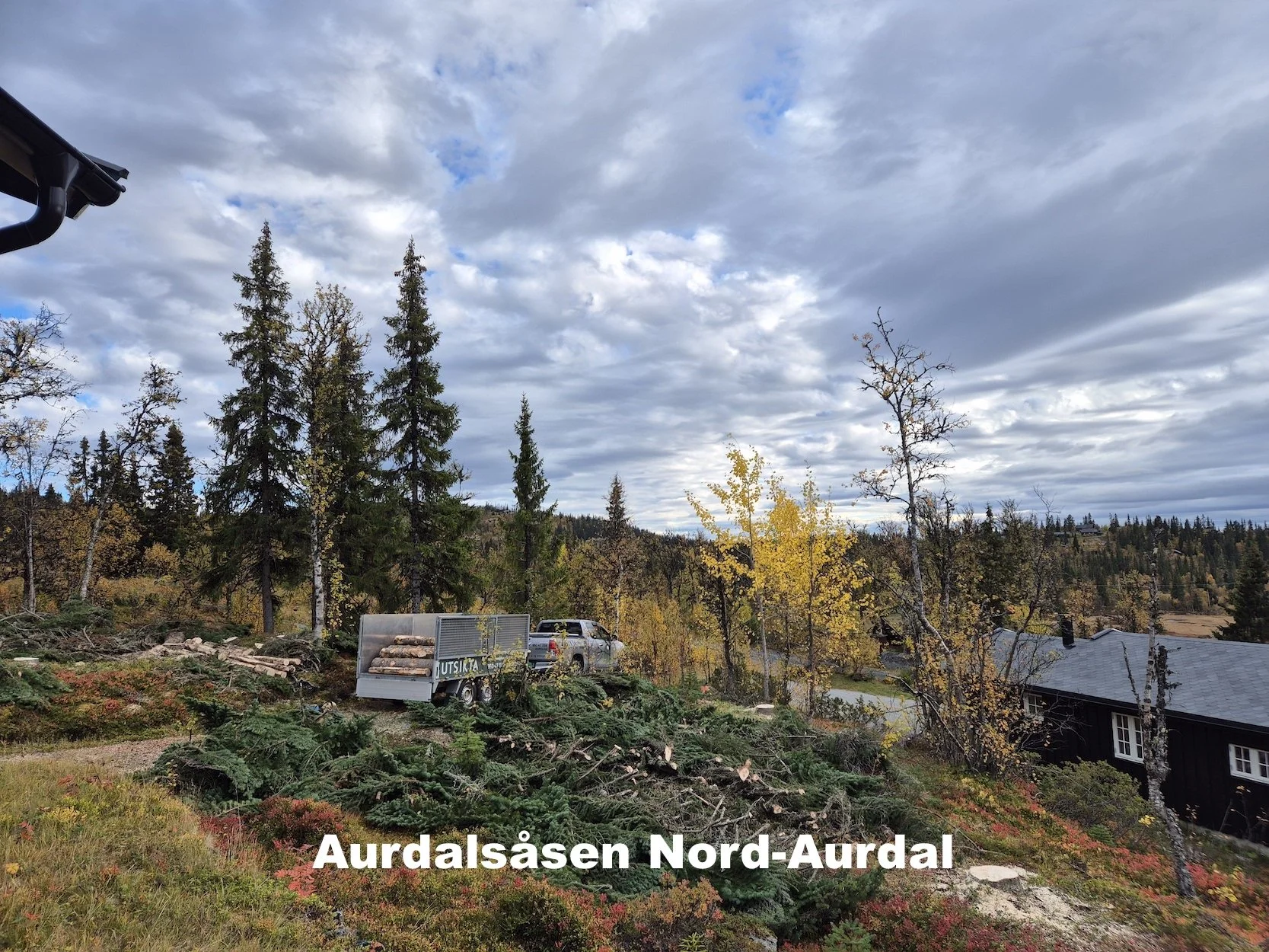 Utsikta Trefelling AS utfører trefelling og bortkjøring på Aurdalsåsen i Nord-Aurdal