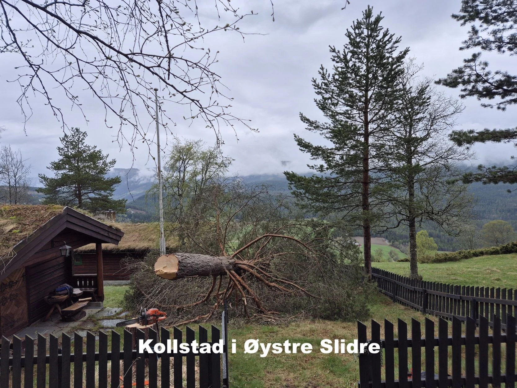 Utsikta Trefelling AS utfører trefelling på hyttetomt på Kollstad i Øystre Slidre