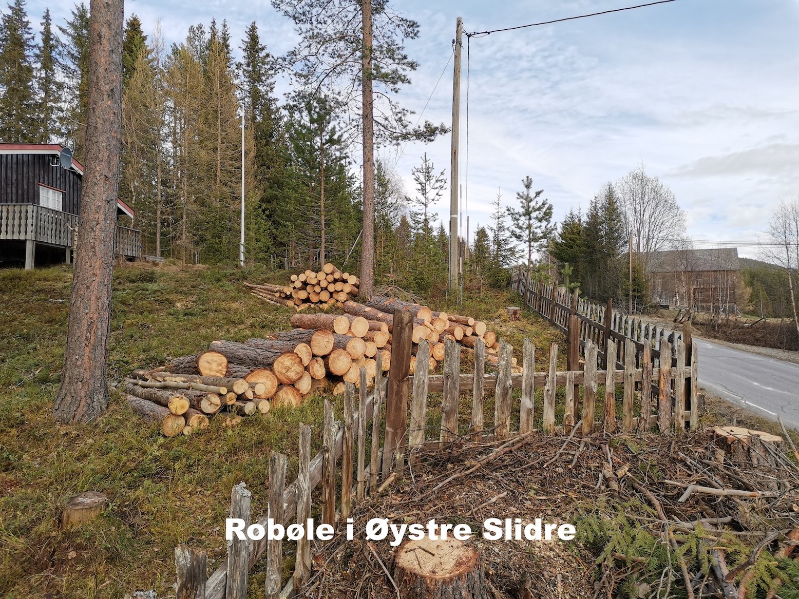Utsikta Trefelling AS utfører trefelling på hyttetomt på Robøle i Øystre Slidre.