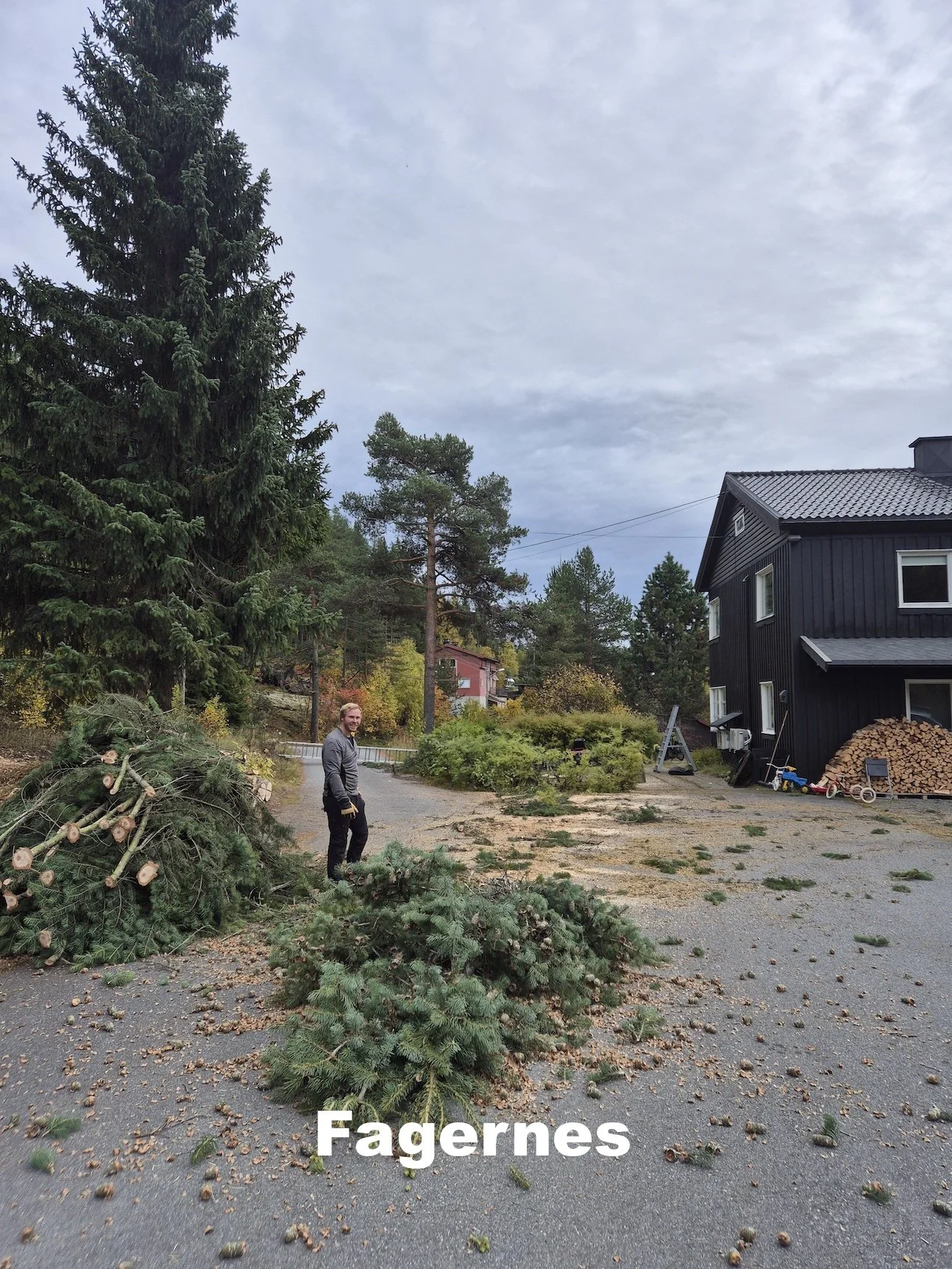 Utsikta Trefelling AS utfører trefelling på Fagernes i Nord-Aurdal