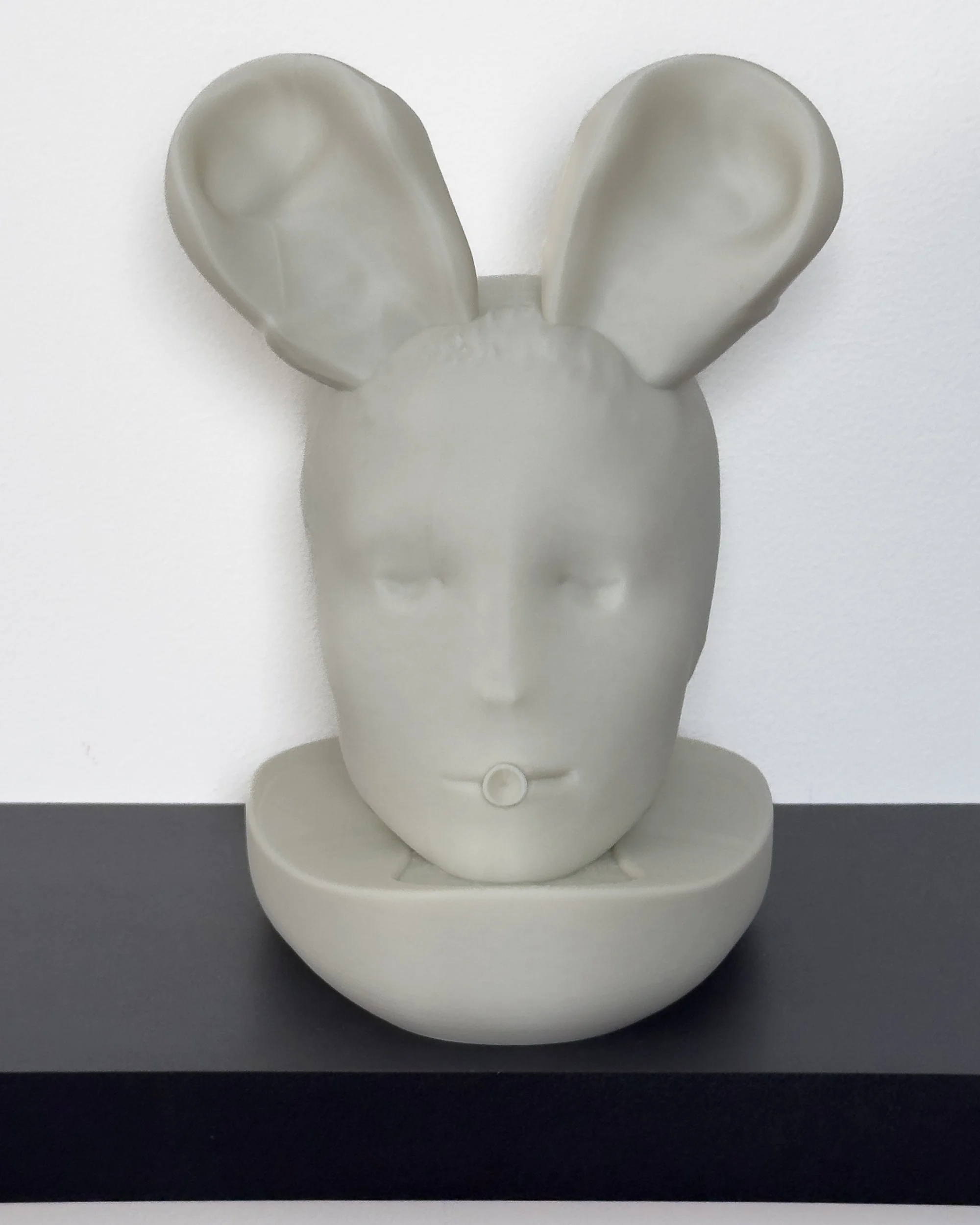 lung-ears_shelf.jpg