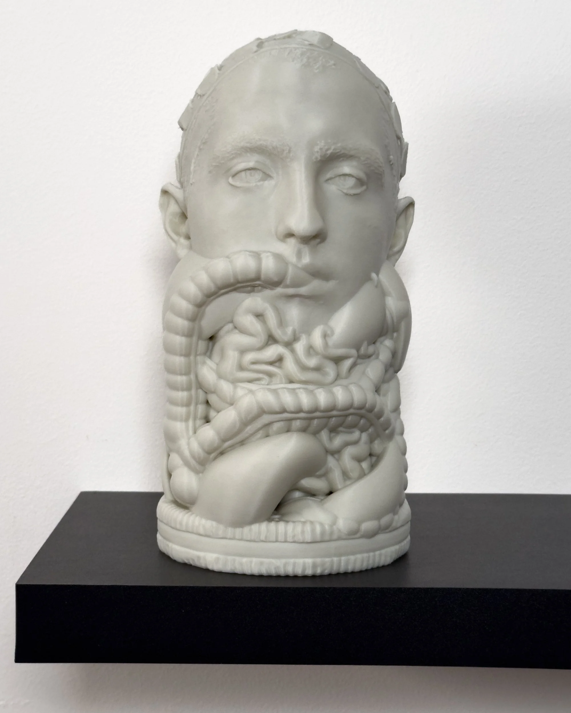 Innards (2026). Bioplastic, 10 ½ x 5 ½ x 6 ½ in. Installation view 2.