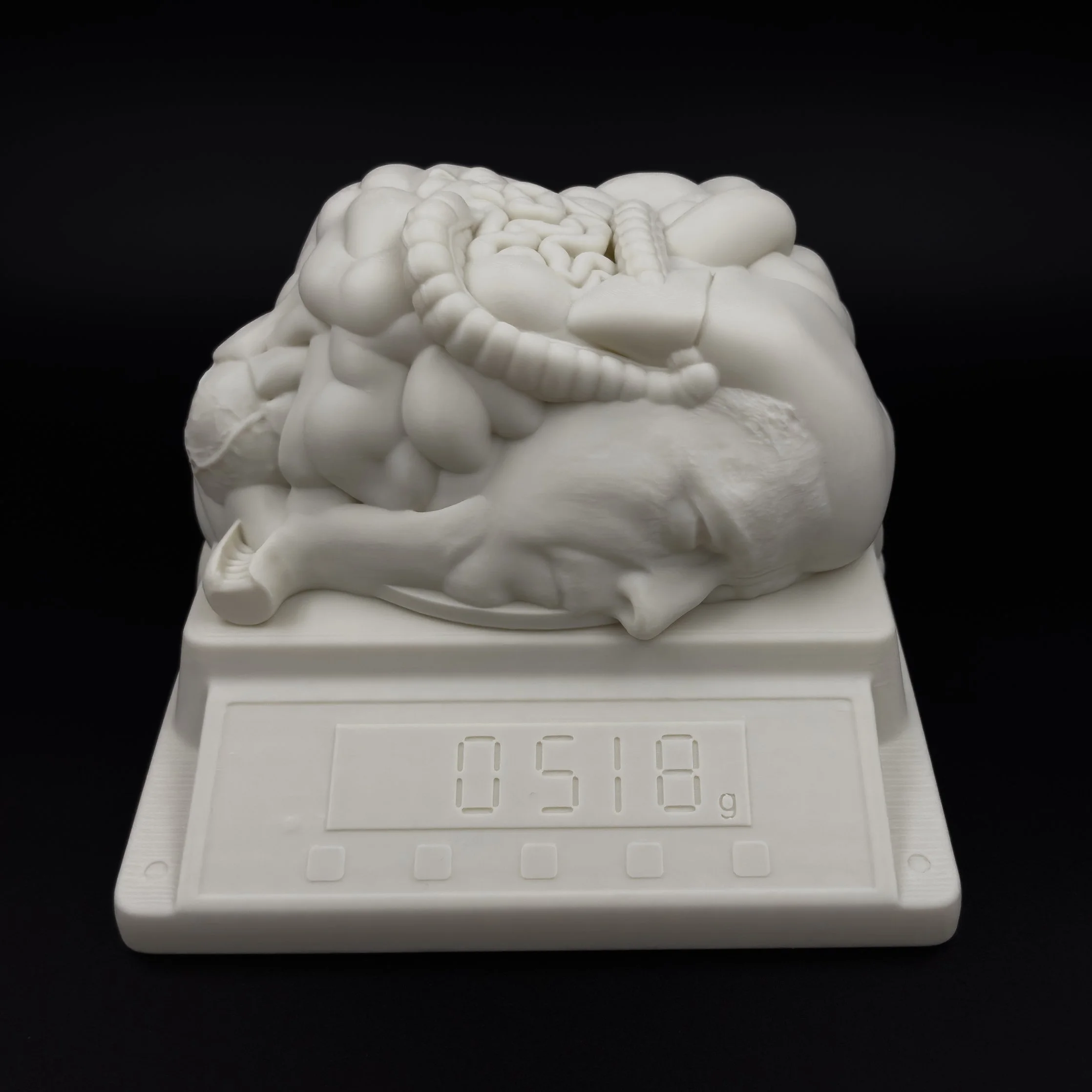 Dead Weight (2026). Bioplastic, 7 x 8 ½ x 9 in.