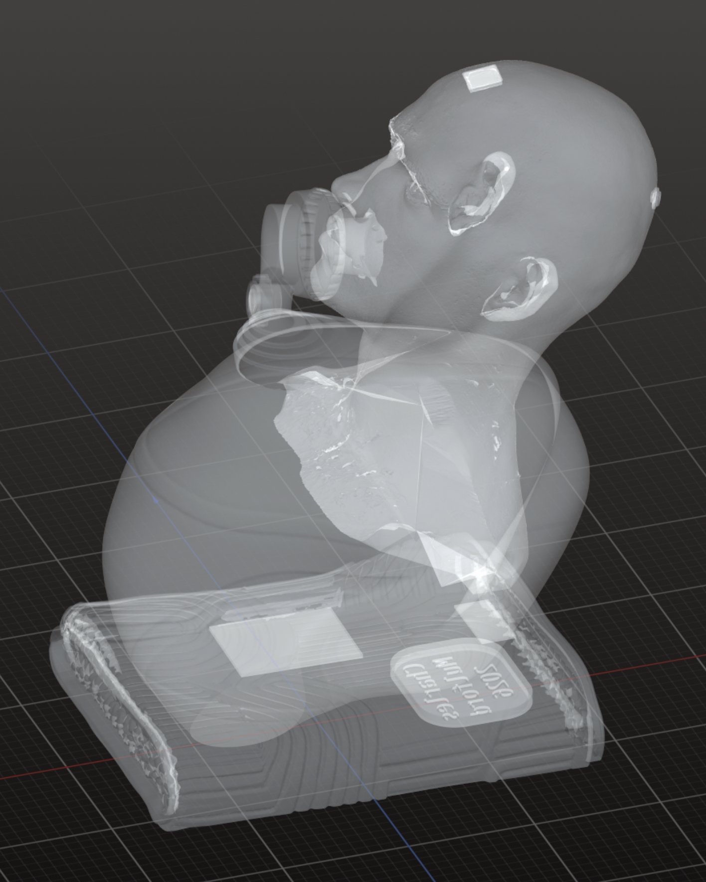 bagged-transparent.jpg