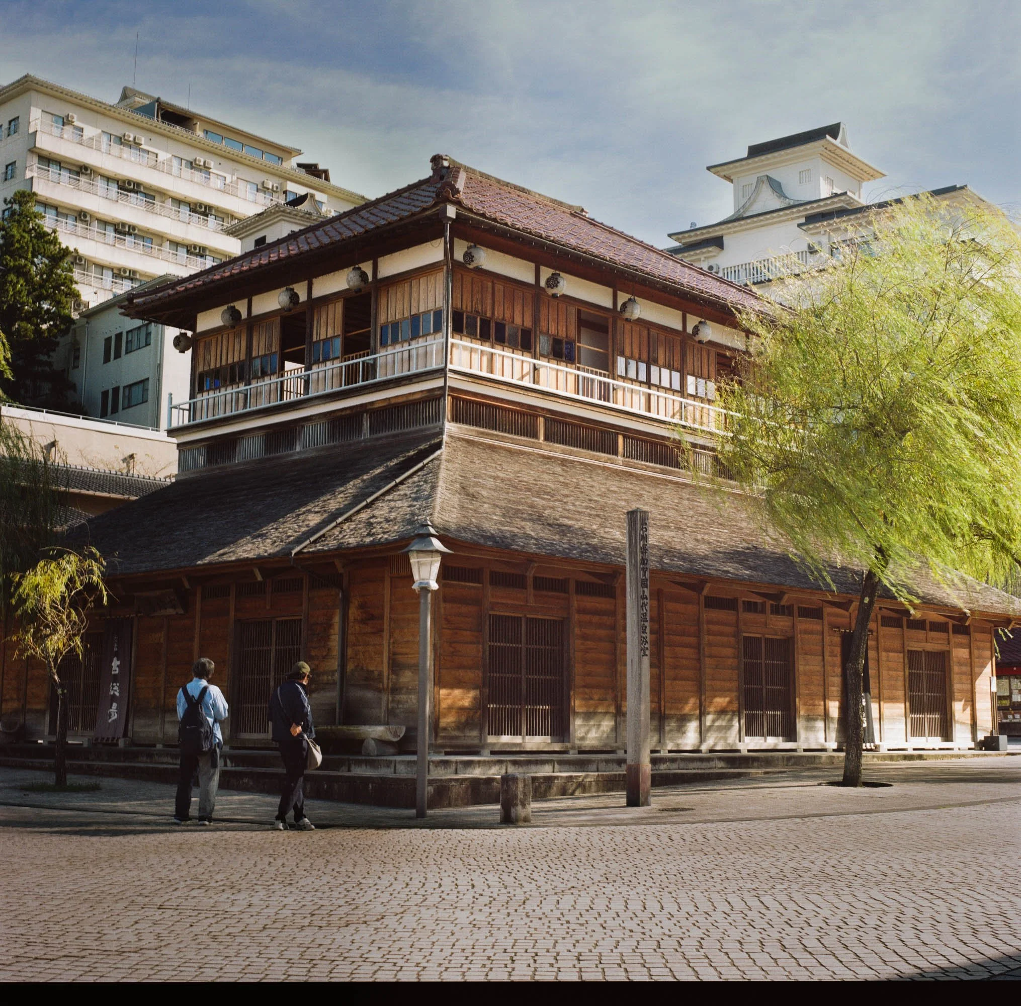 kodak_professional_portra_160_11_04_2024_000163120010 (1).jpg