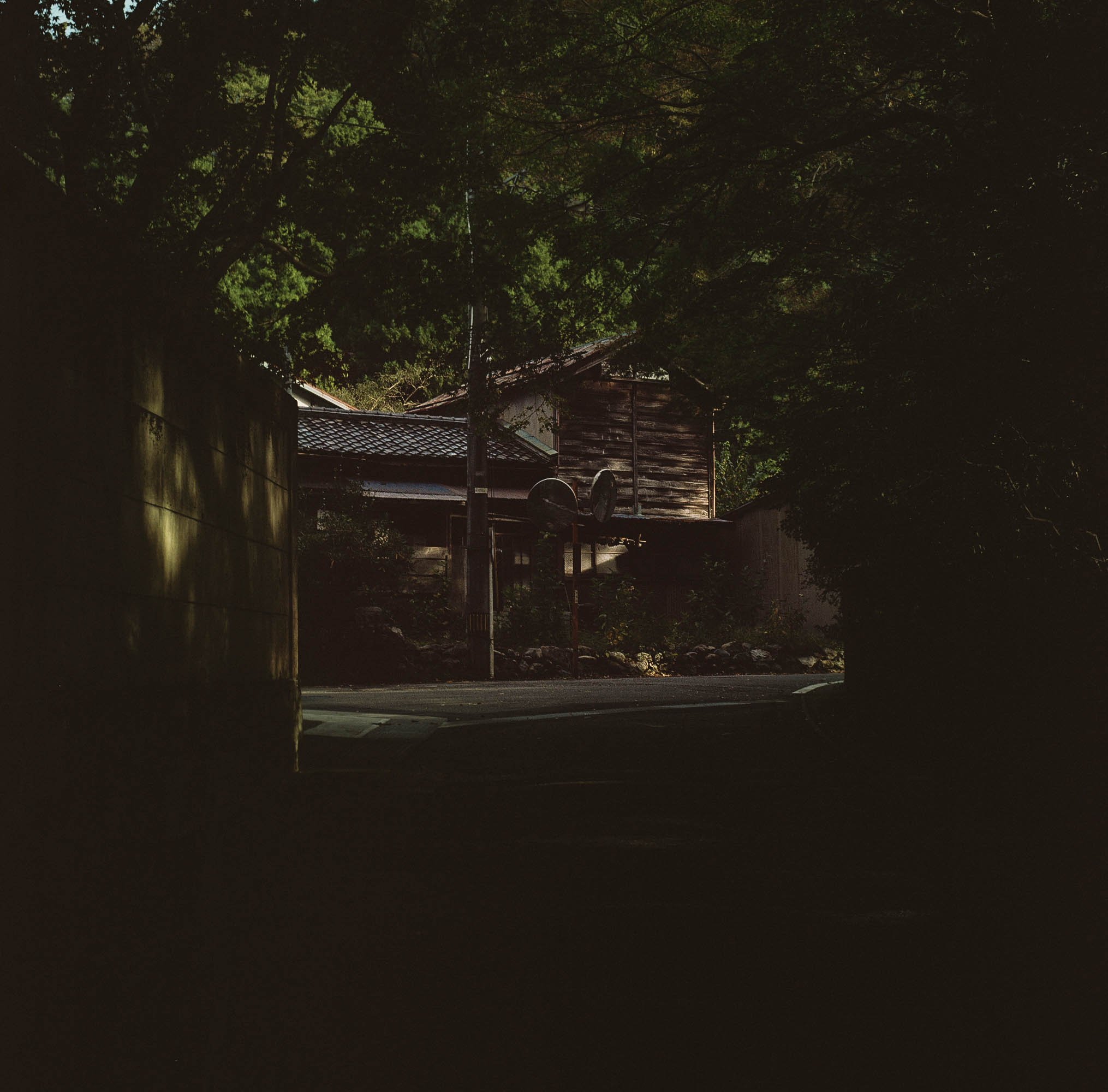 kodak_professional_portra_160_11_04_2024_000163130004 (2).jpg