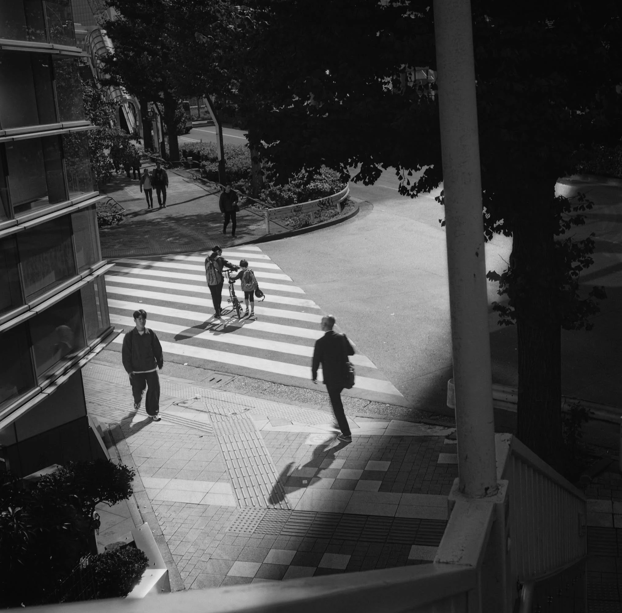 ilford_delta_100_professional_11_04_2024_000163090005 (1).jpg