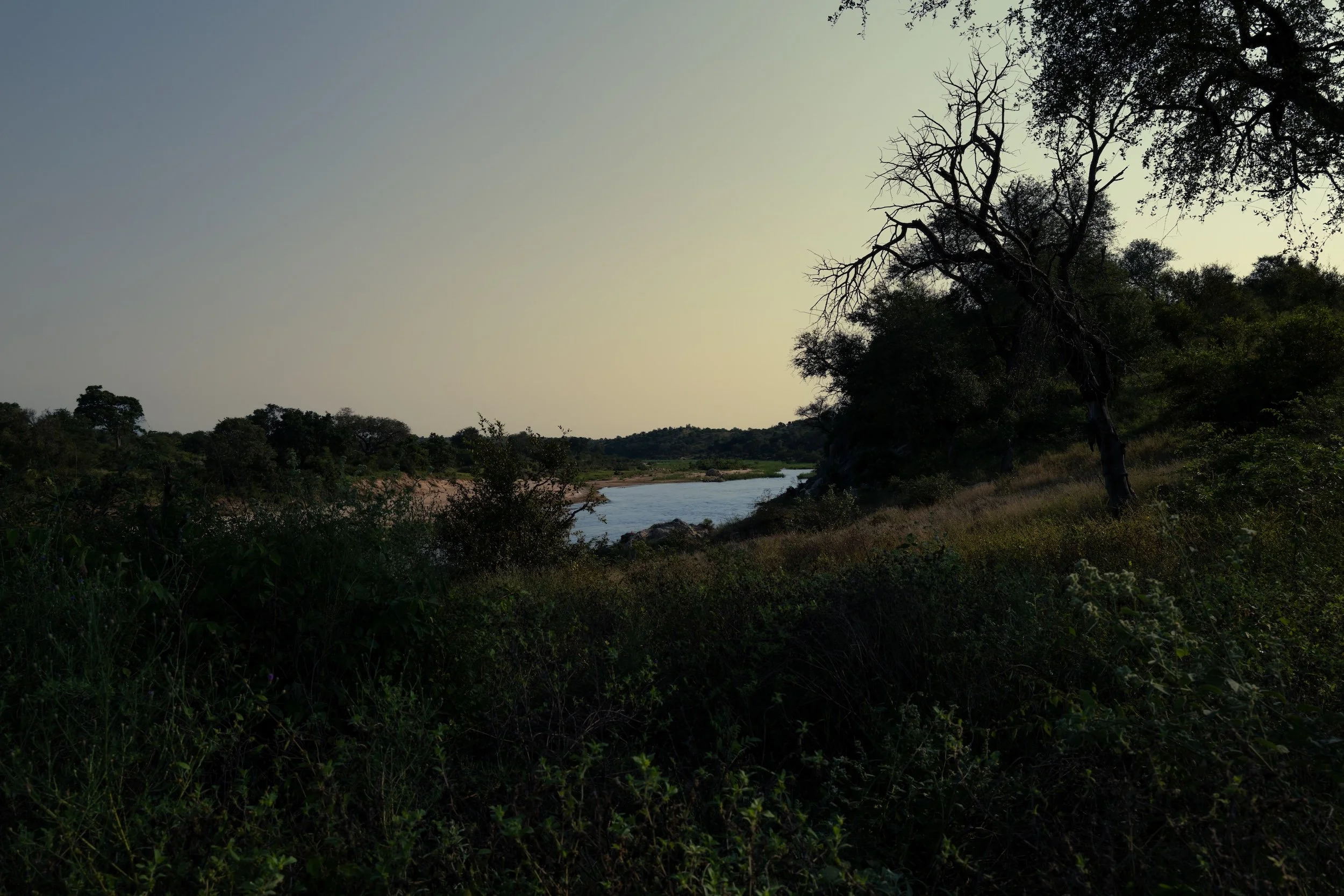 L1001094 (1).jpg