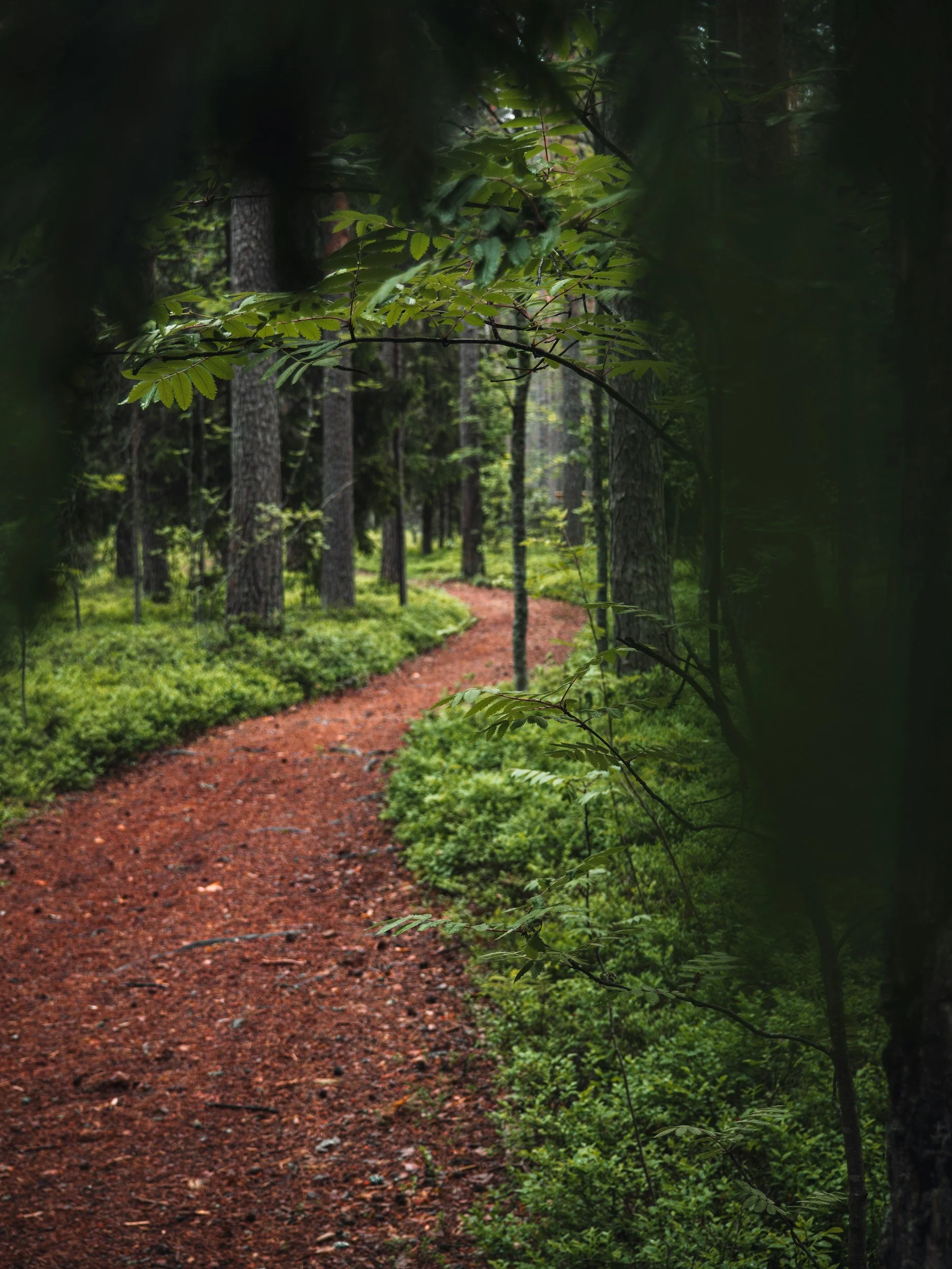 exploratory psychodynamic psychotherapty northhumberland