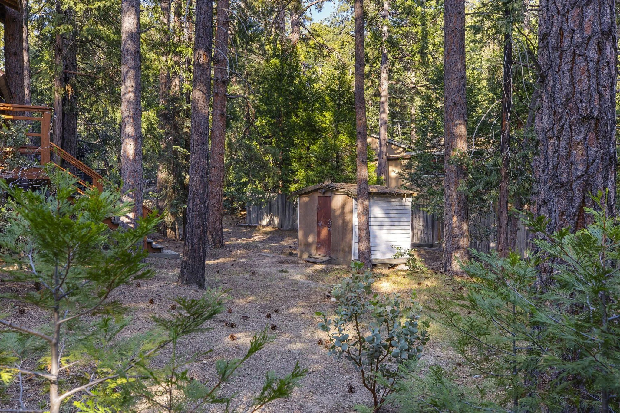 6-web-or-mls-Sylvan Way 009.jpg