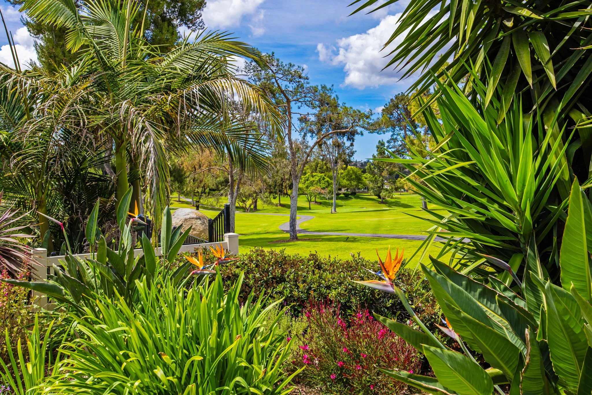 50-web-or-mls-Frondoso 050.jpeg