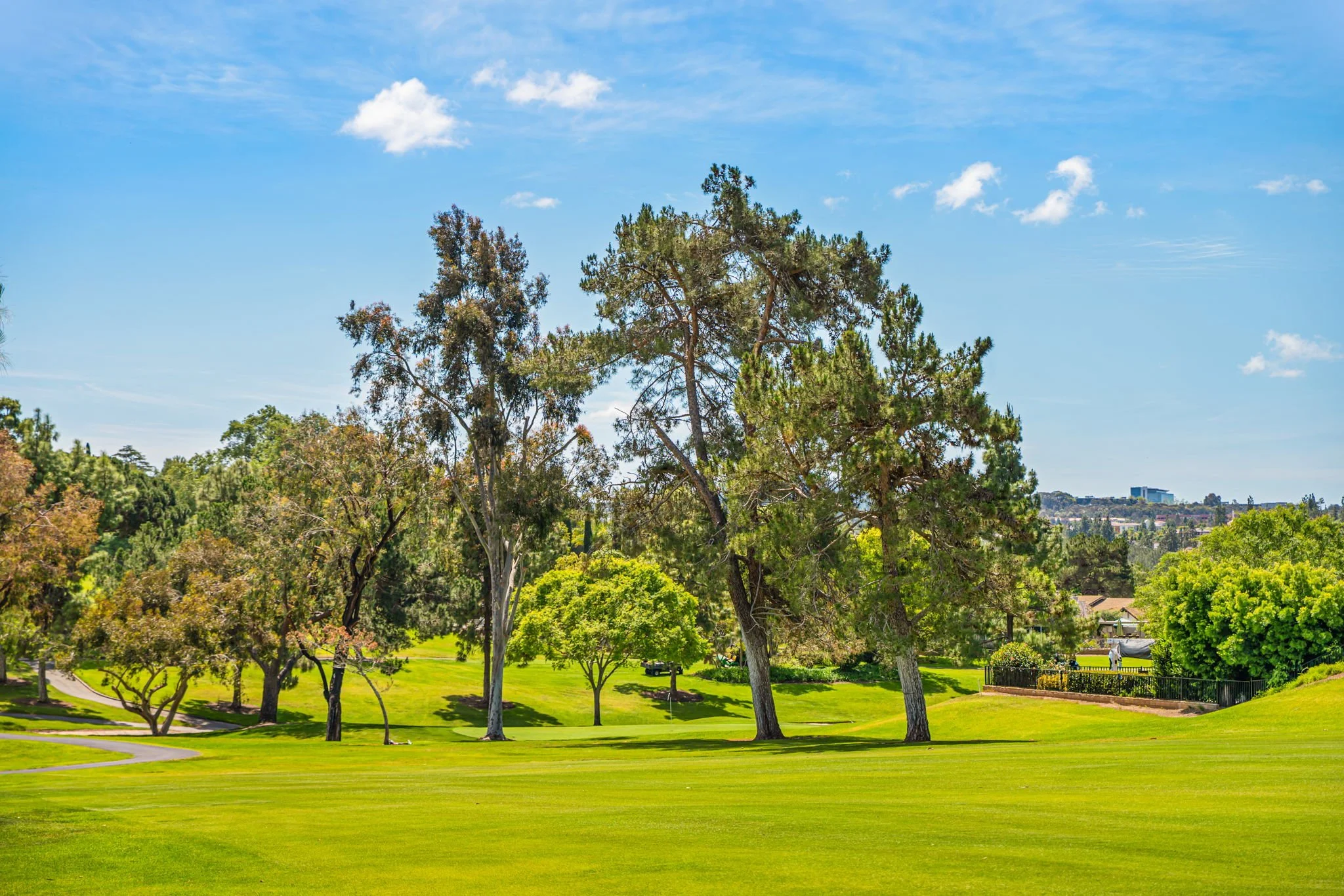 62-web-or-mls-Frondoso 063.jpeg