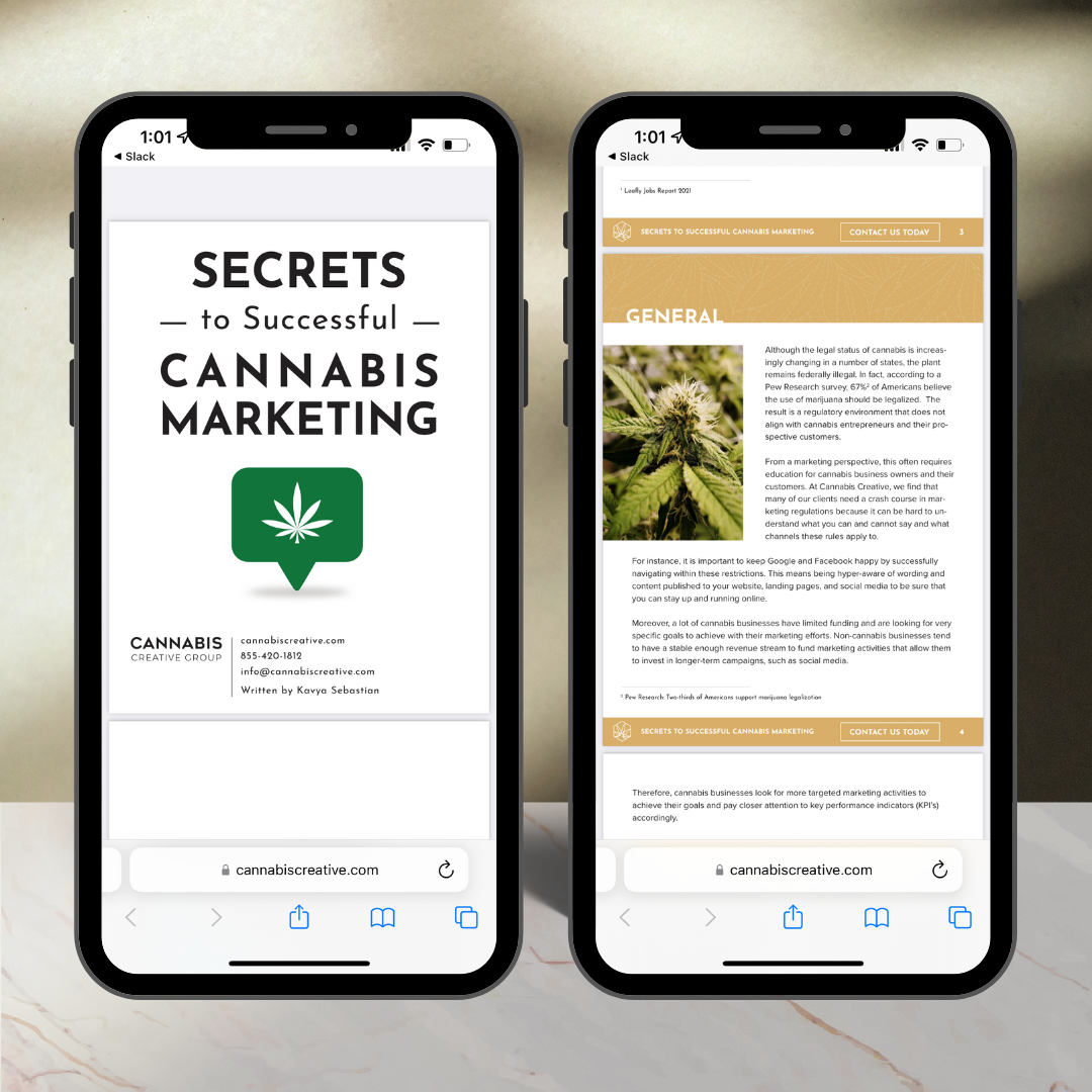 Secrets to Successful Cannabis Marketing (E-Book)