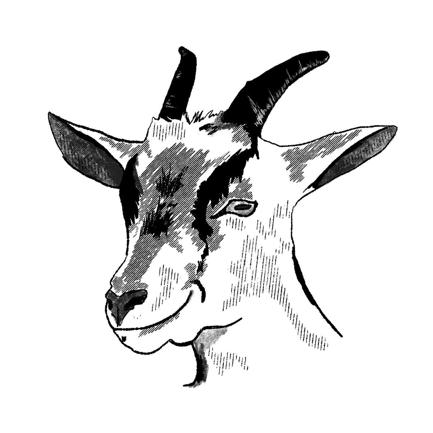 Not sure what to do with this thing, so if you have any ideas let me know. #design #goats #help