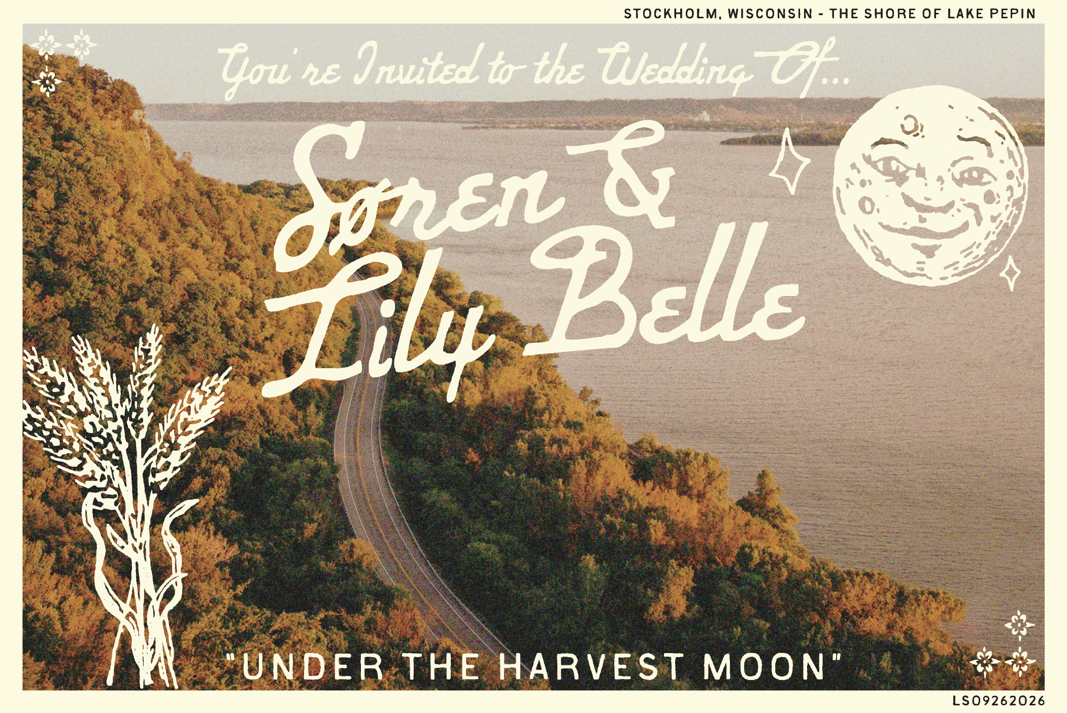 Screenshot 2026-02-18 at 3.16.23 PM.png