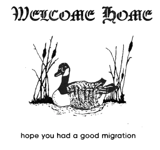 Screenshot 2026-02-18 at 4.48.39 PM.png