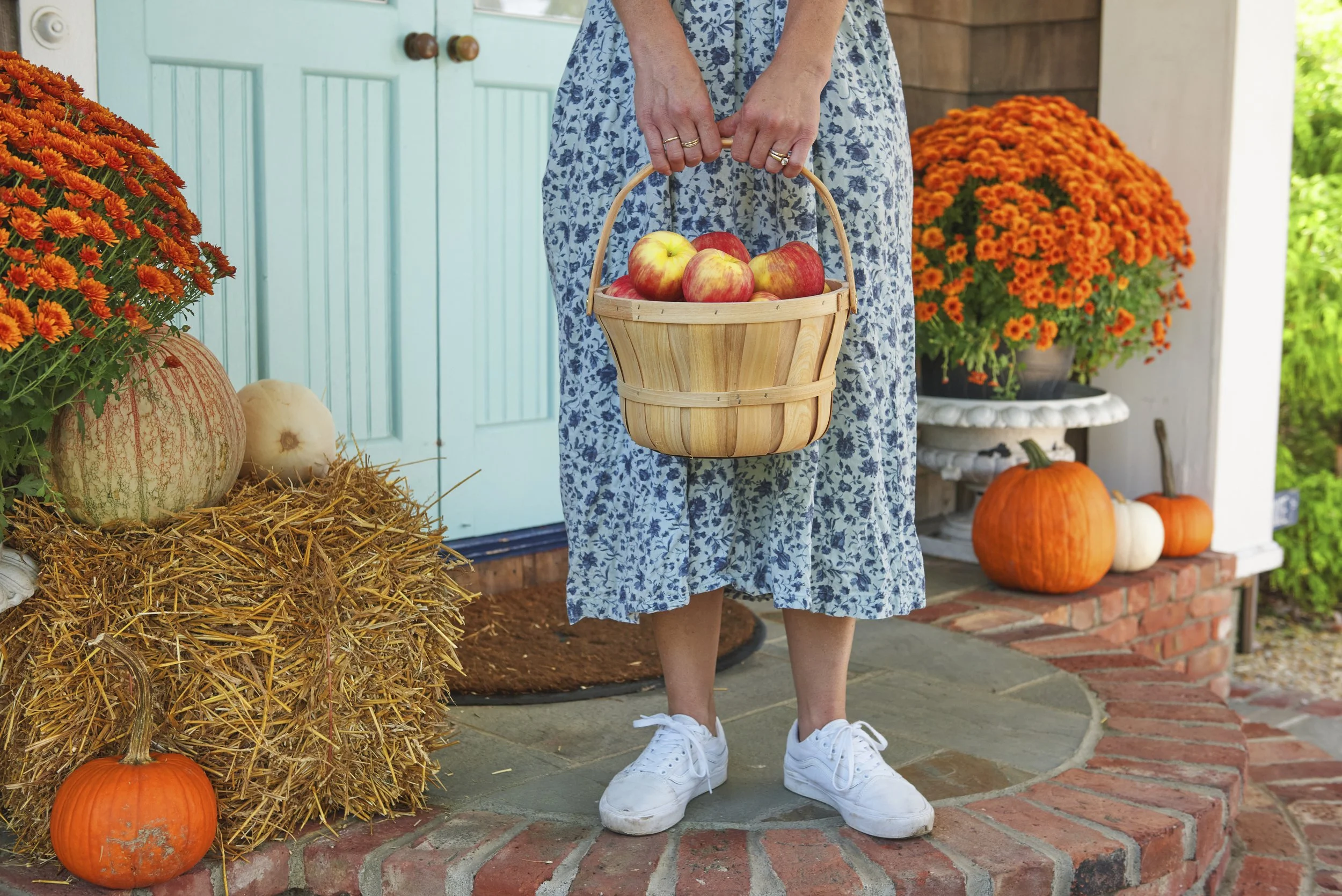 Fall on long island includes apple picking, corn mazes, pumpkin picking, fall festivals and halloween celebrations!