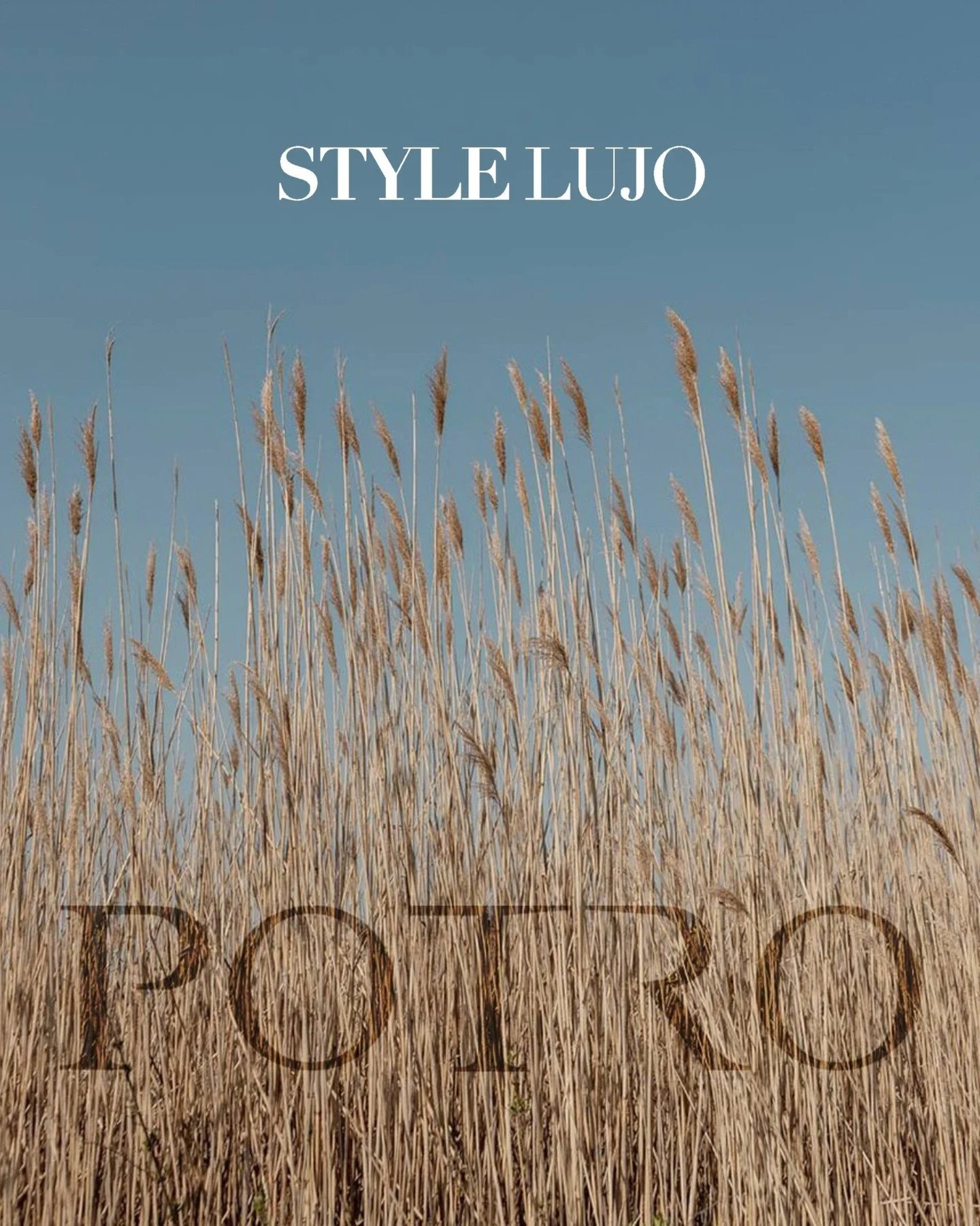 Bellport Inn featured by Style Lujo β¨
Grateful to be spotlighted by Style Lujo in Joseph DeAcetis’s summer feature-where our stay blended Bellport’s creative magic, rich history, and perfect serenity. Loved hosting the talented @potroinc