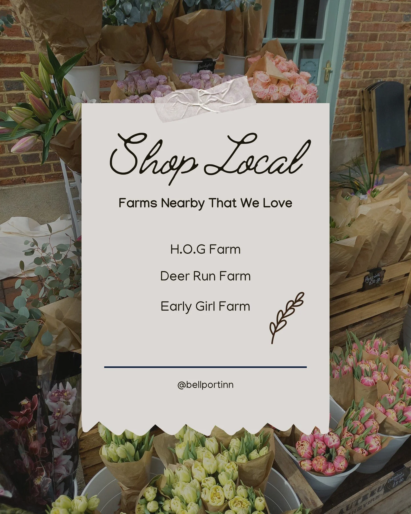 The first stop for every city escape? Our beloved local farm stands. Fresh produce, local flavors, and a connection to the land and the farmers that make each visit feel magical.
πΎ Farm stands nearby that we love:
@_hog_farm
@deerrunfarmstand
@e