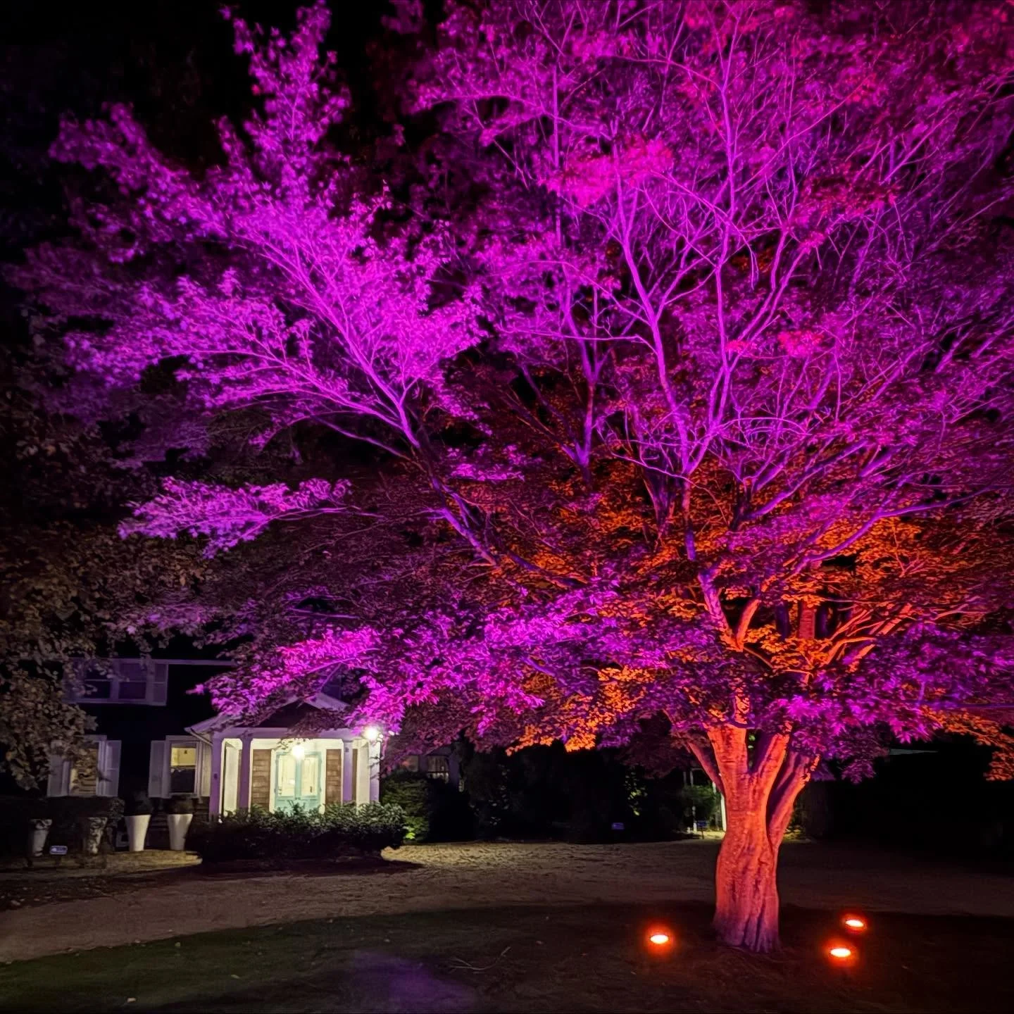 π§‍βοΈ When twilight stirs and whispers bloom — find your rest beneath the moon. π #bellportinn 
.
.
.
#Halloween #discoverlongisland #bellport #bellportvillage #longisland #getawaysfromnyc