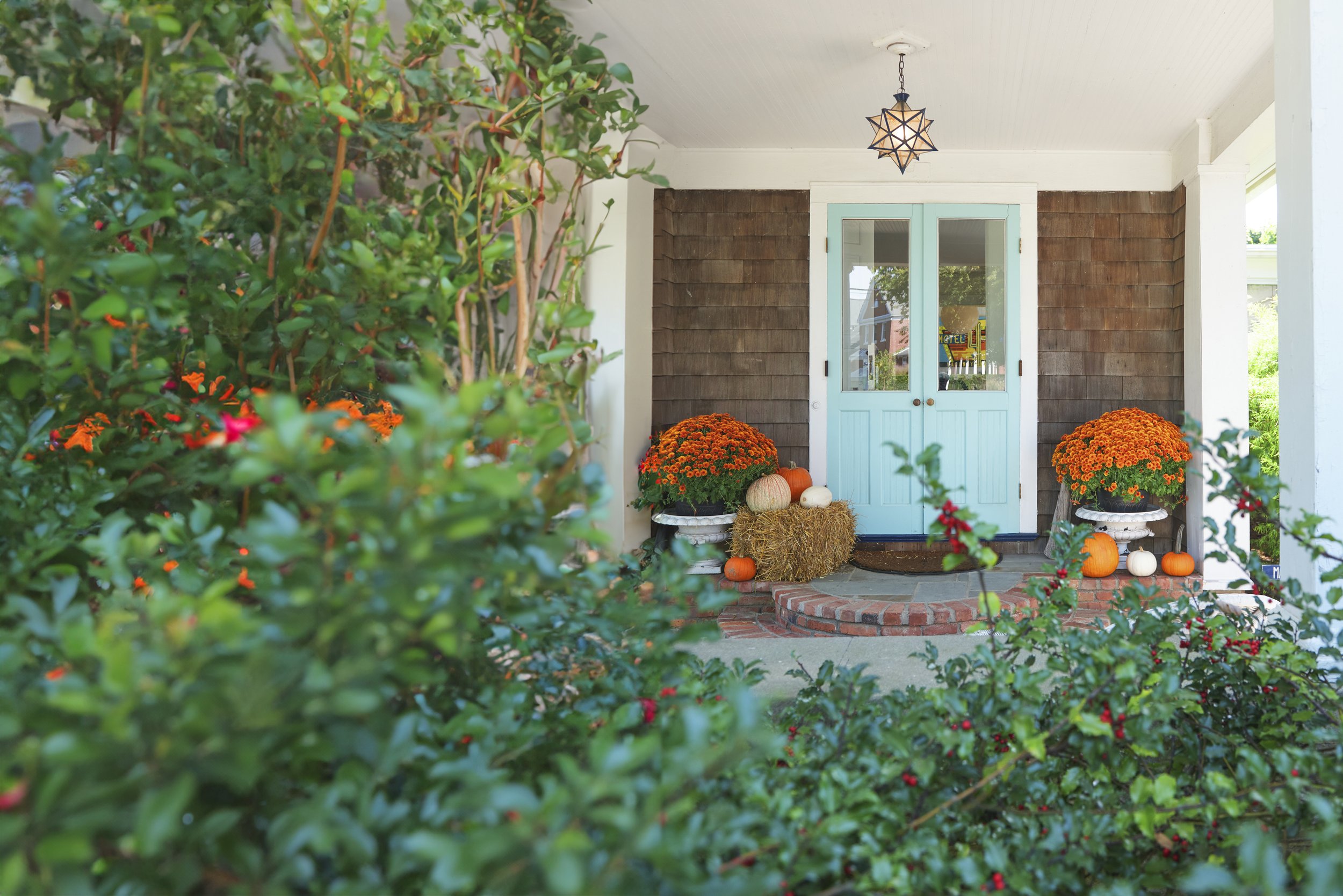 Fall on long island includes apple picking, corn mazes, pumpkin picking, fall festivals and halloween celebrations!