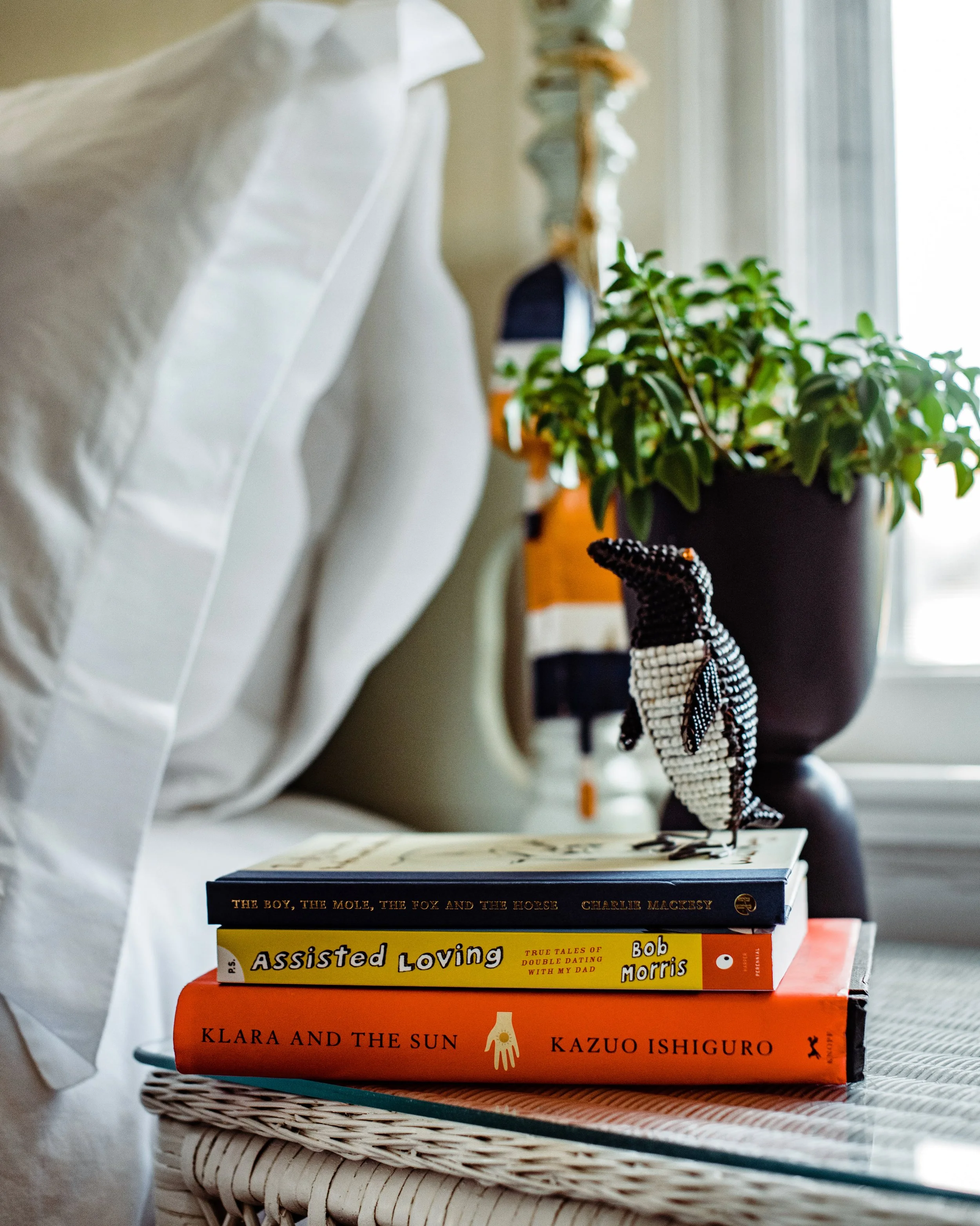 relaxing Air bnb long island.JPG