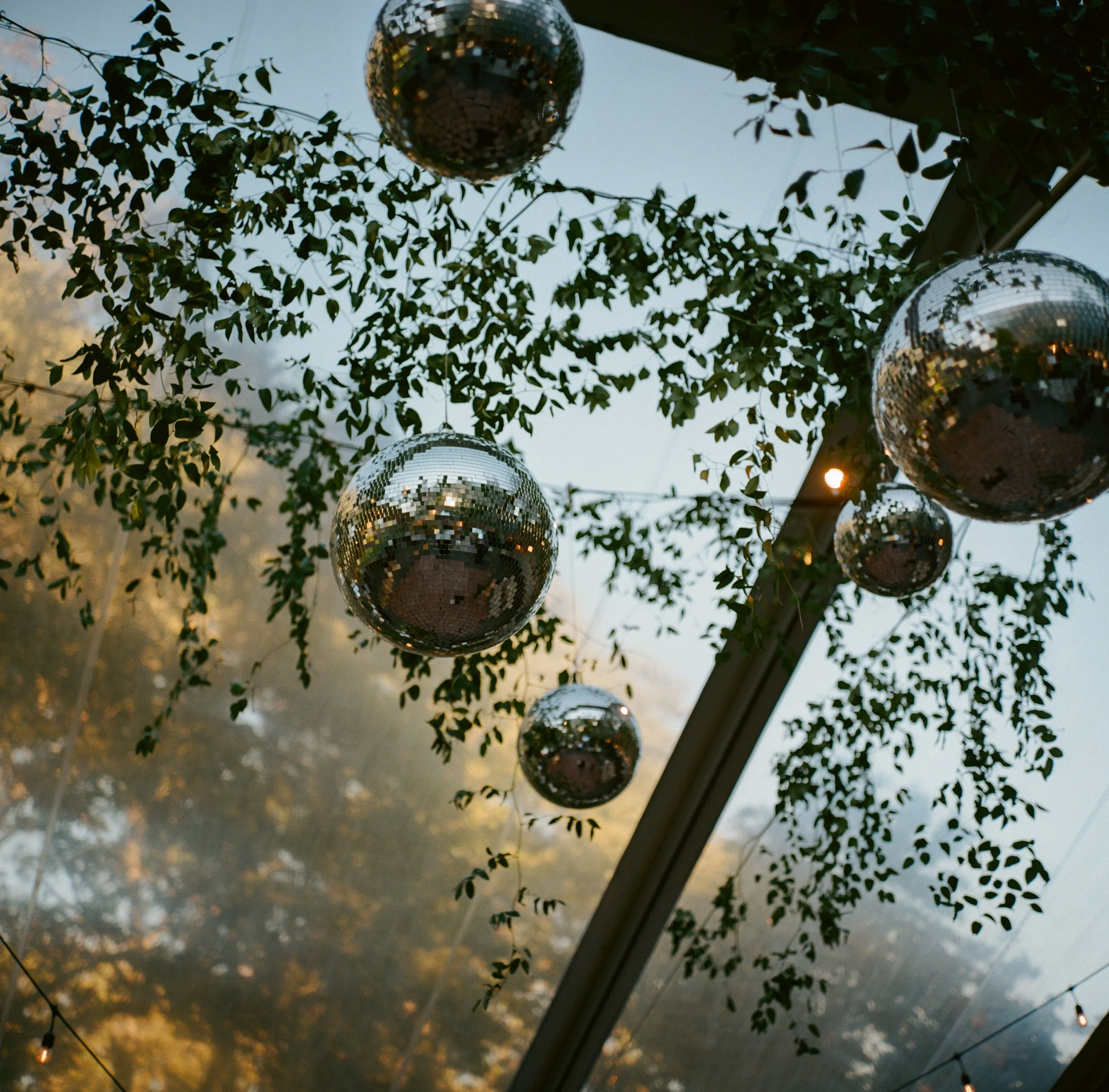 Princess & Eric-218.jpg