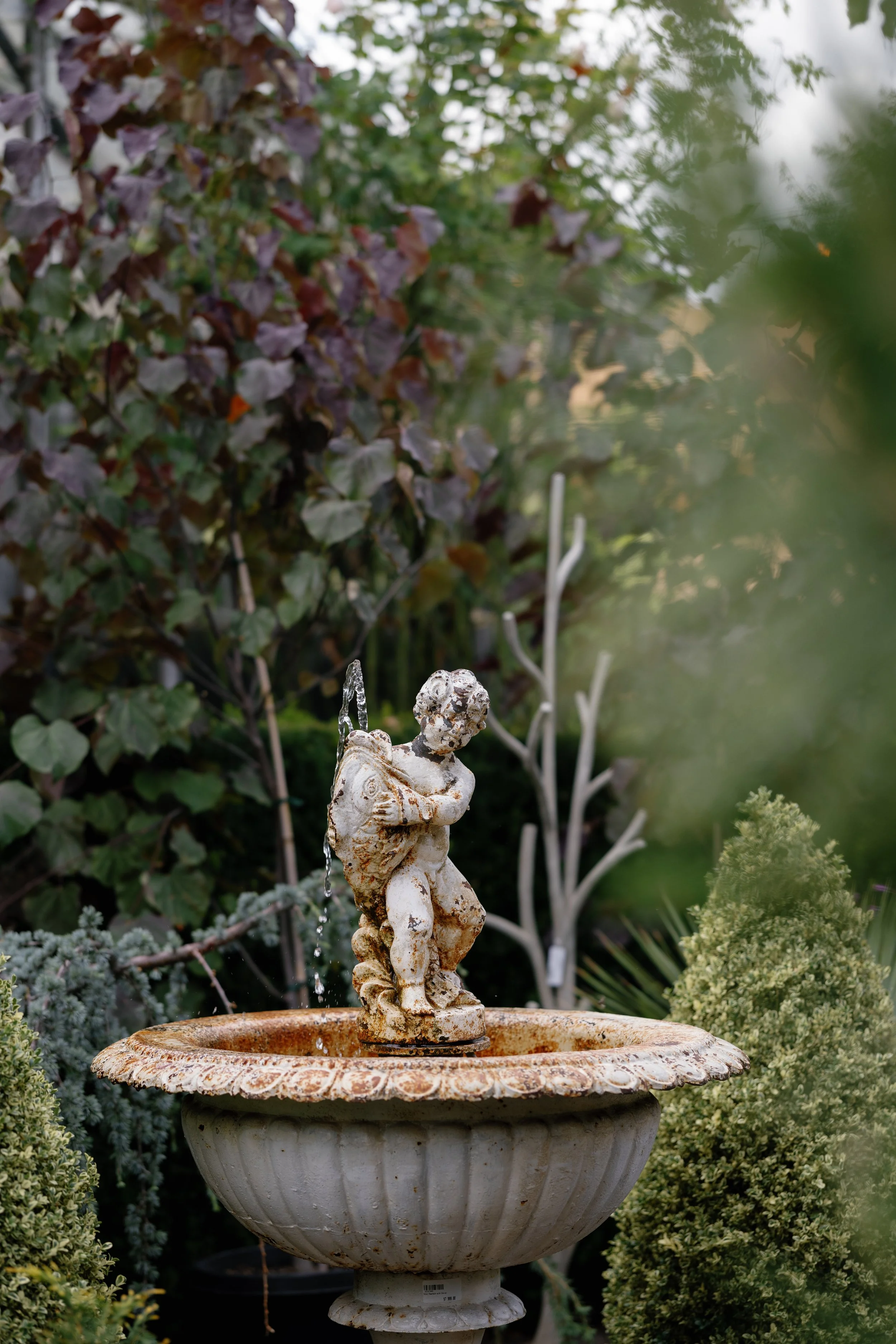 TheAdriens_LeahWarnerPhoto-0782 (1).jpg