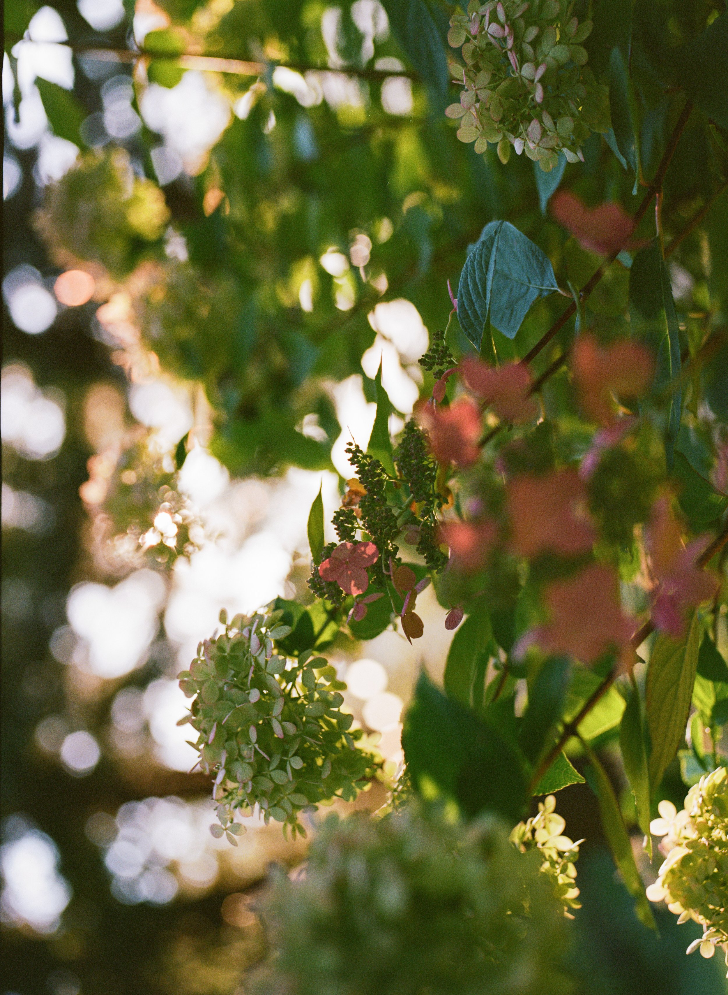 Princess & Eric-224.jpg