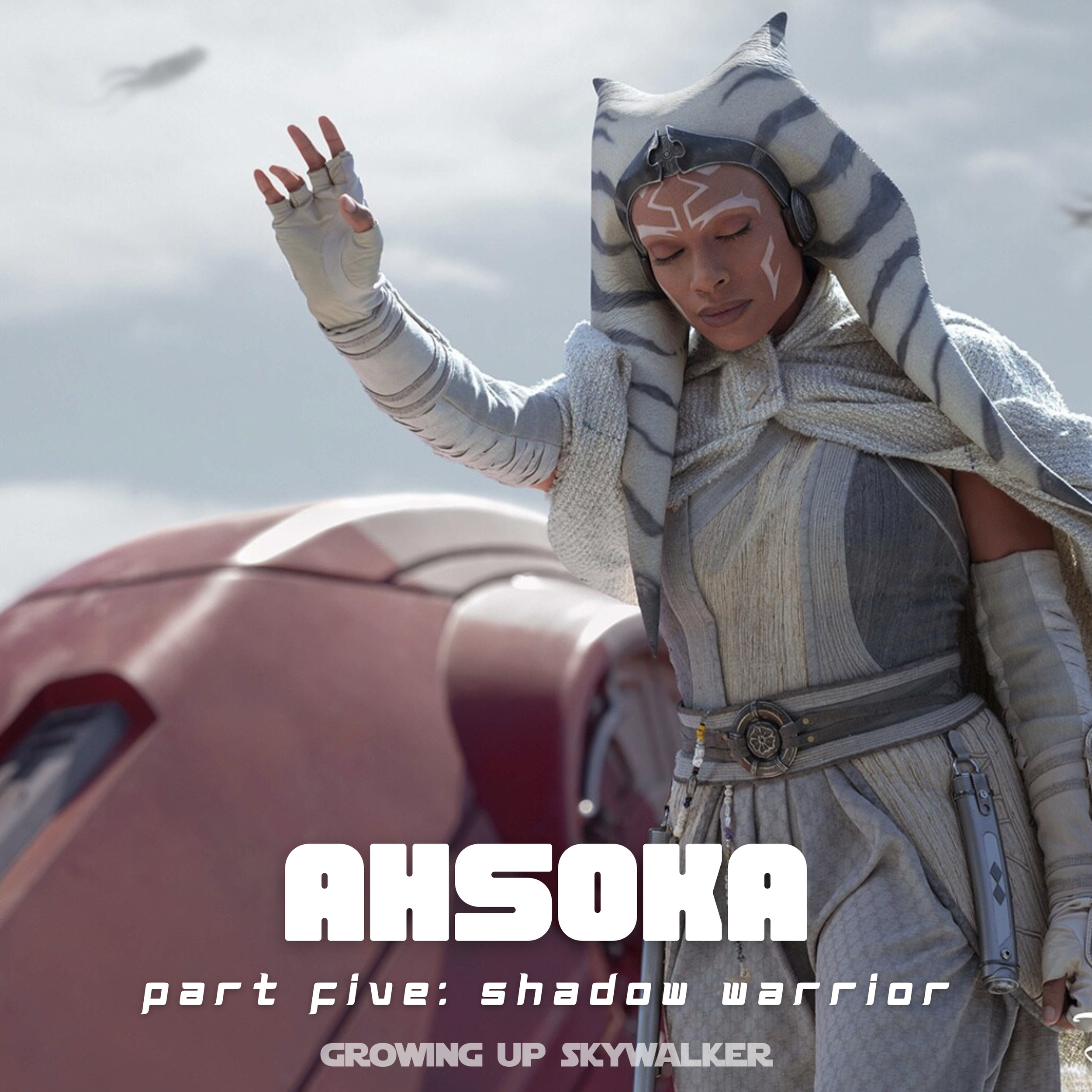 Ahsoka: “Part Five: Shadow Warrior”