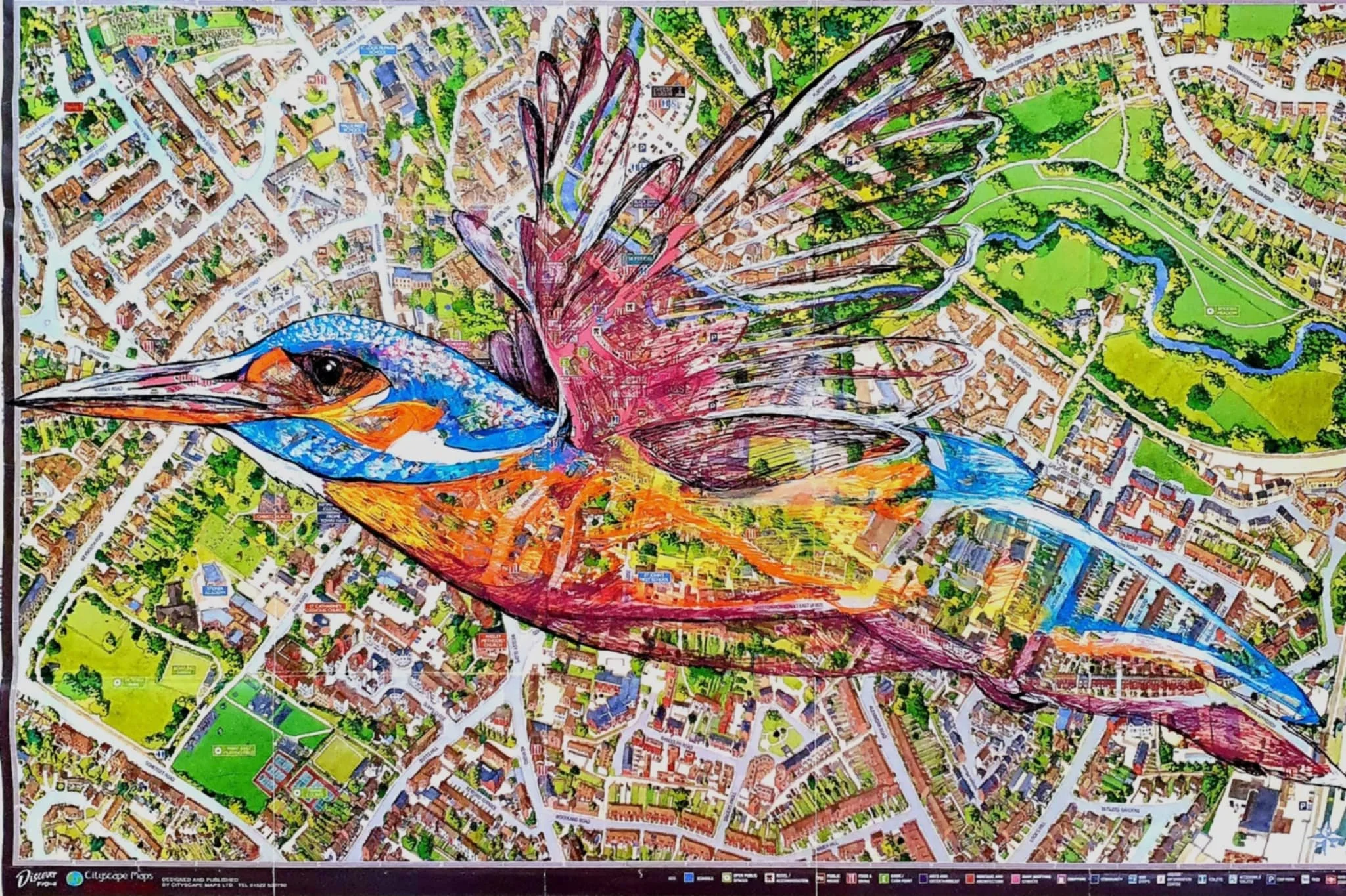 The Frome Kingfisher.jpg