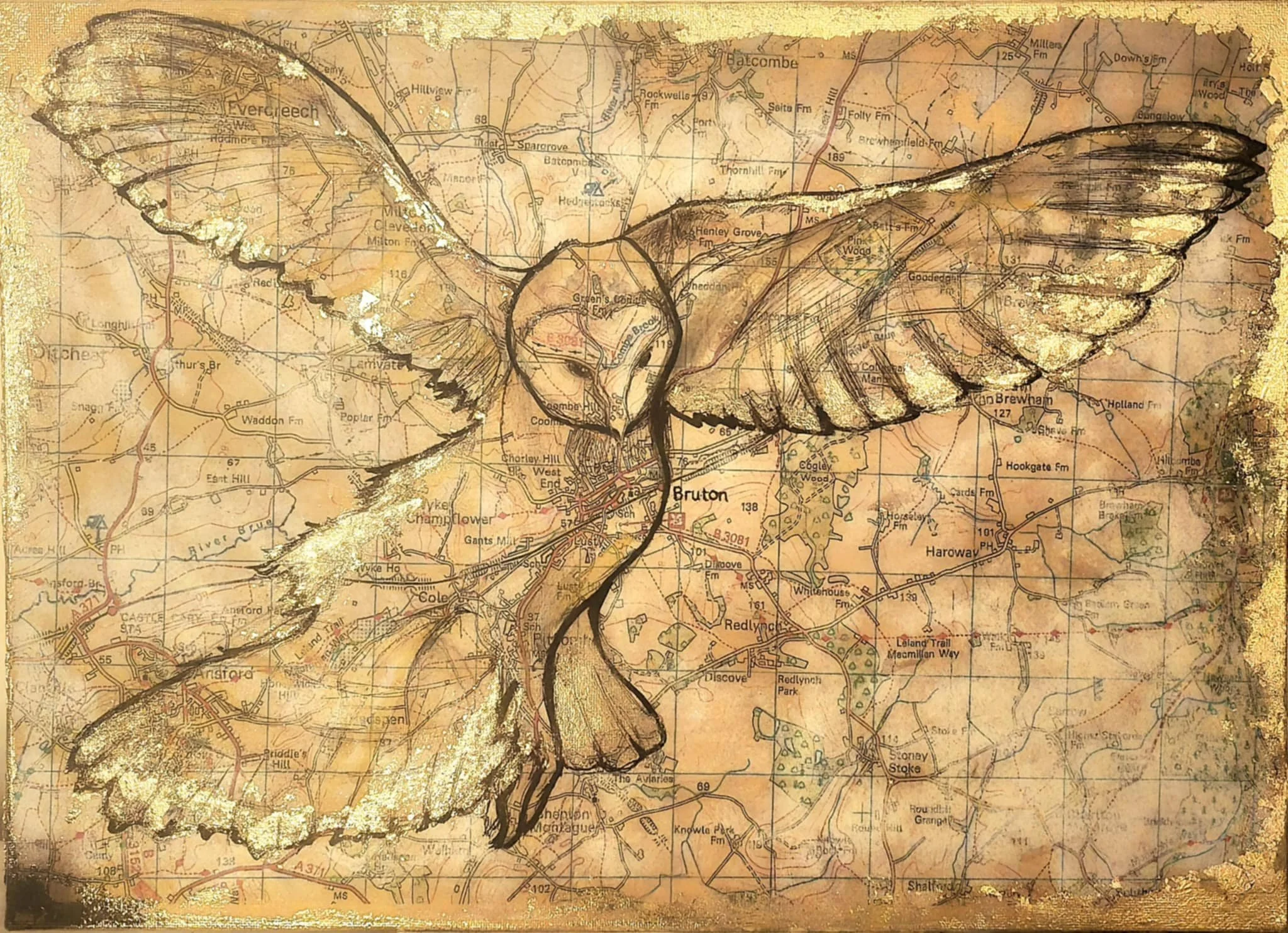 The Bruton Barn Owl.jpg