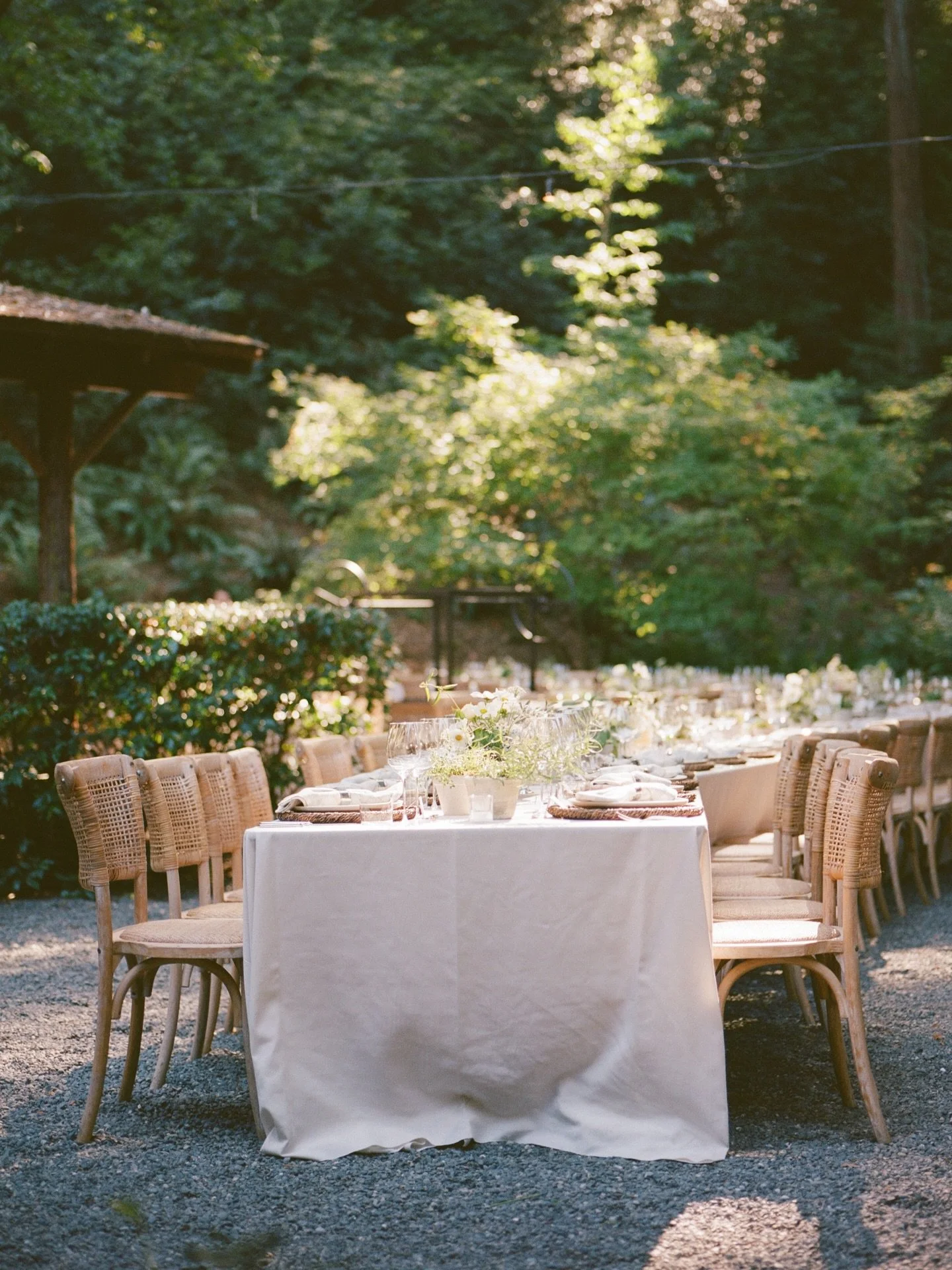 Delicious details, cocktail hour and dinner at Amelia &amp; Albert&rsquo;s perfect California wedding🦪🥂

Planning &amp; Design: @willaviaweddingco 
Photographer: @bridgetrburnett
Second shooter: @brysphotography_ 
Venue: Lagunitas Country Club
Flor