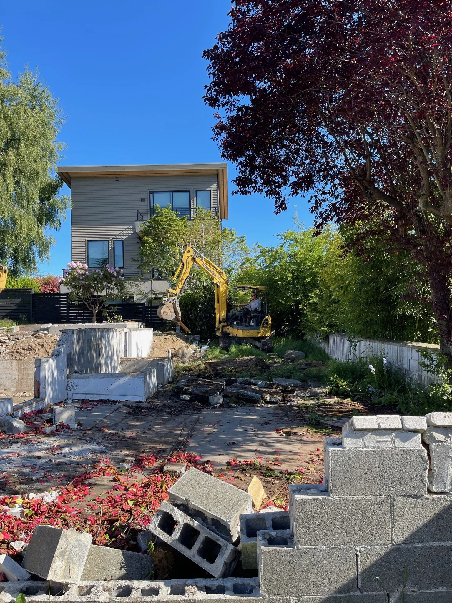 DFE3C9E3-32D0-48F8-A4D8-6D4DE7B5C8F3.JPG