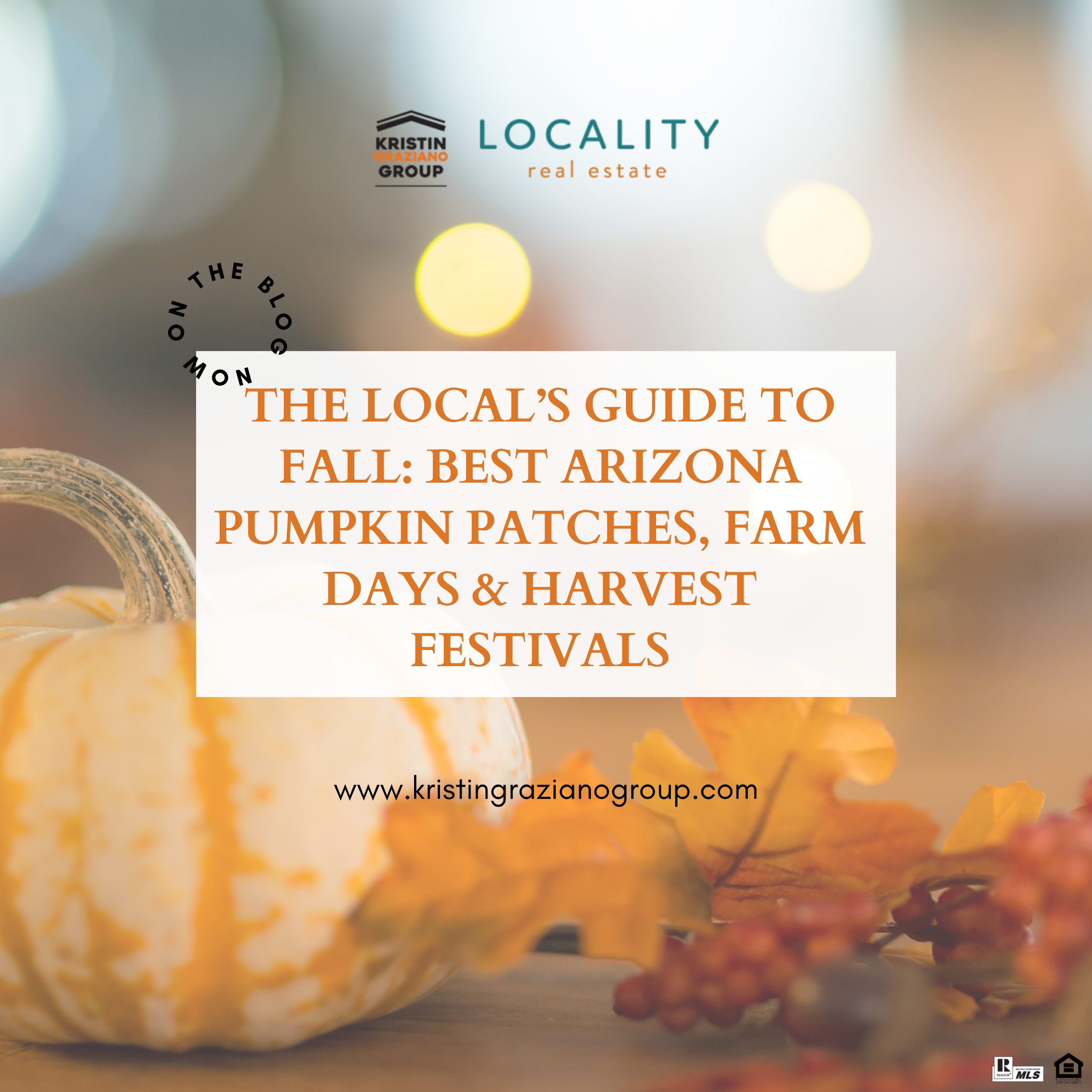 The Local’s Guide to Fall: Best Arizona Pumpkin Patches, Farm Days &amp; Harvest Festivals