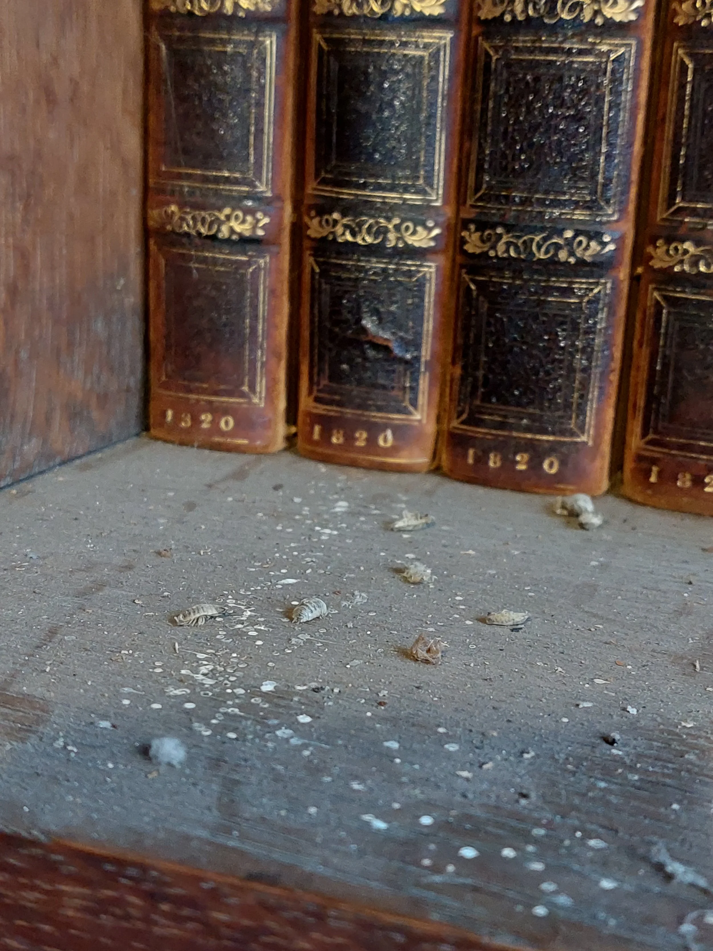 Storage Enclosures for Paper Archives — Archives & Records Association