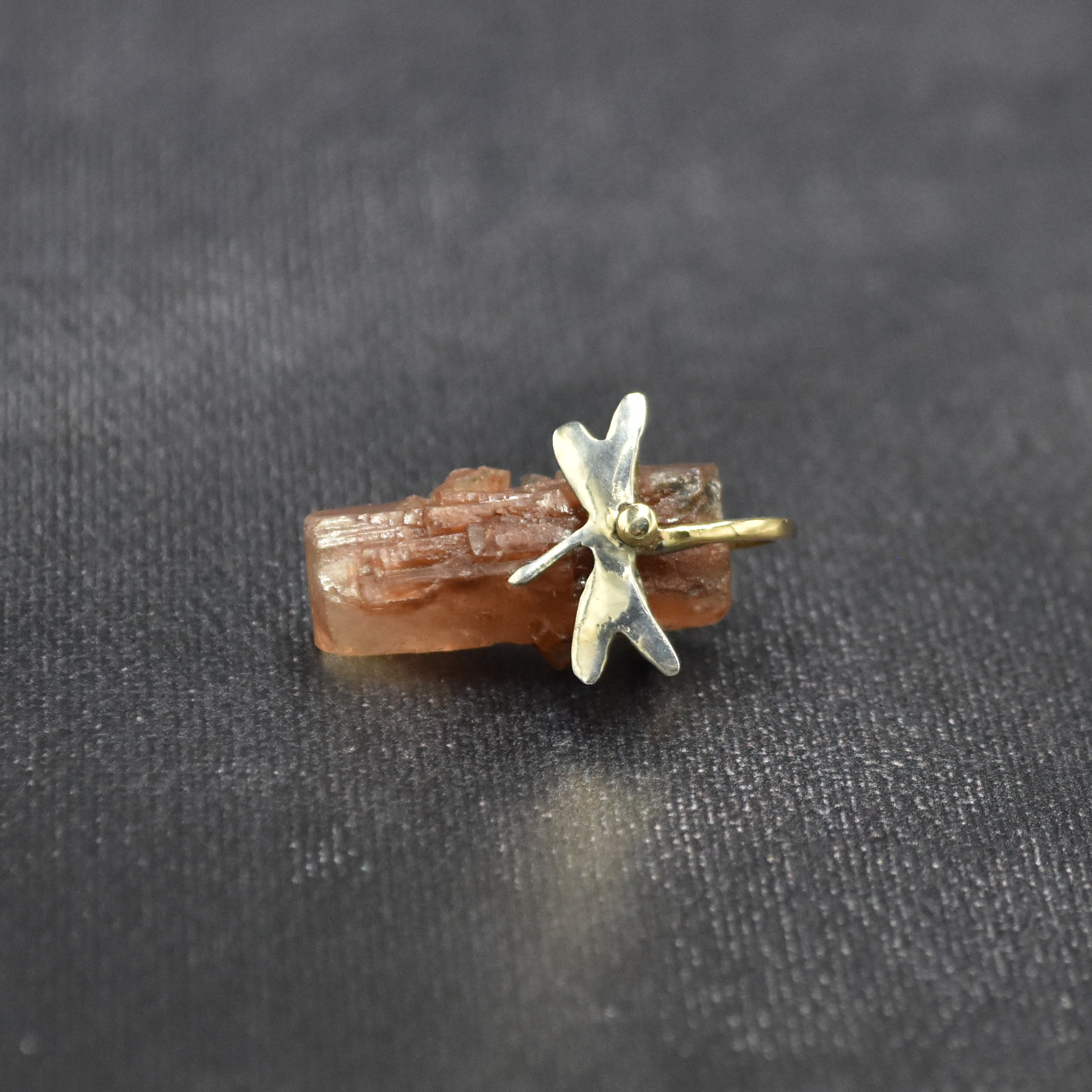 dragonfly1.png