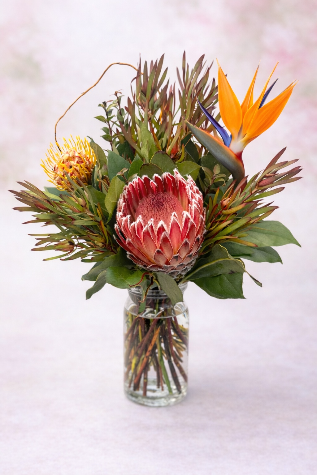 Tropical Muse (48-hour lead time required)