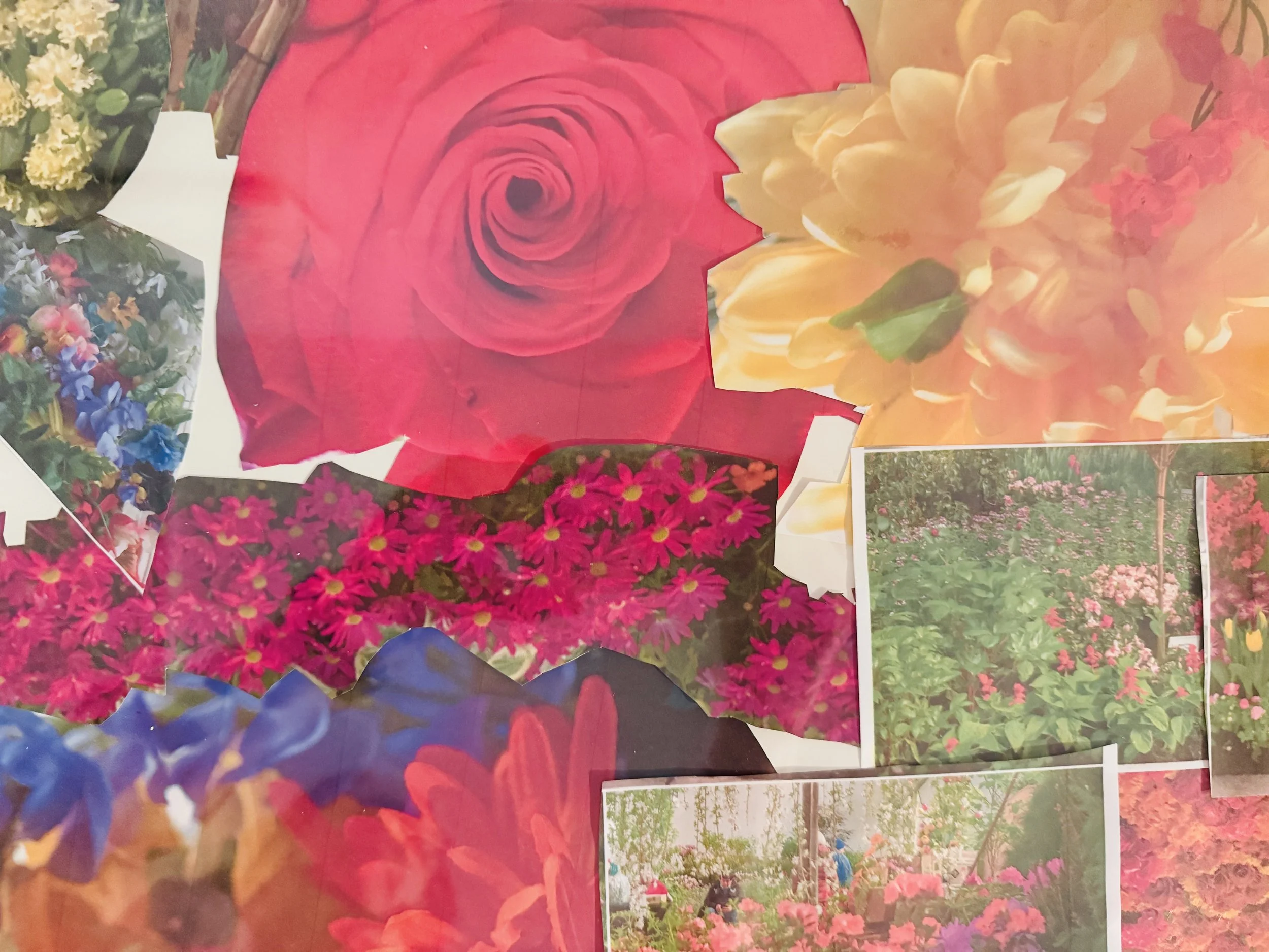 Artwork from the Devereux Wellness Center