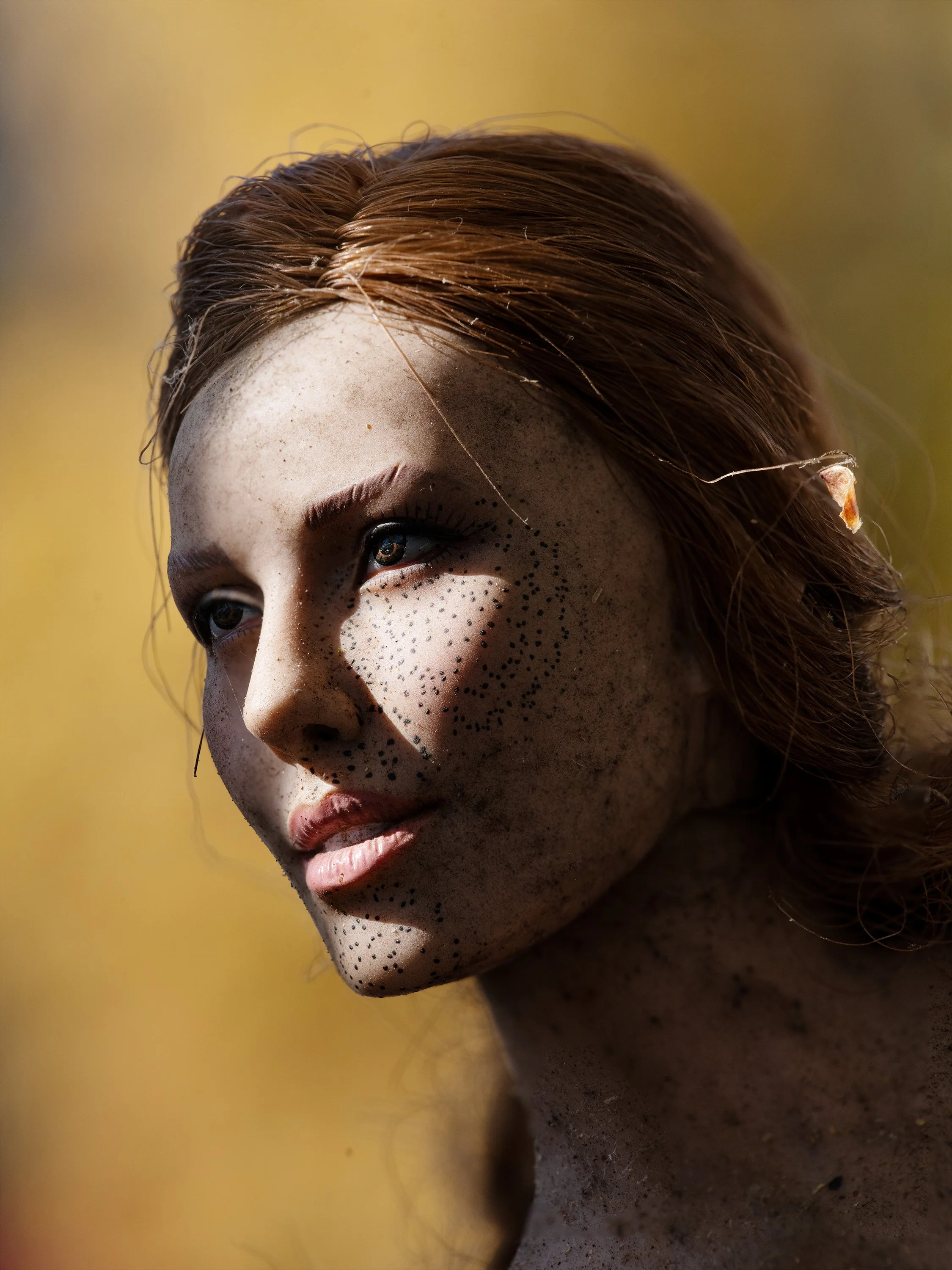 Photography by Andrew Moore